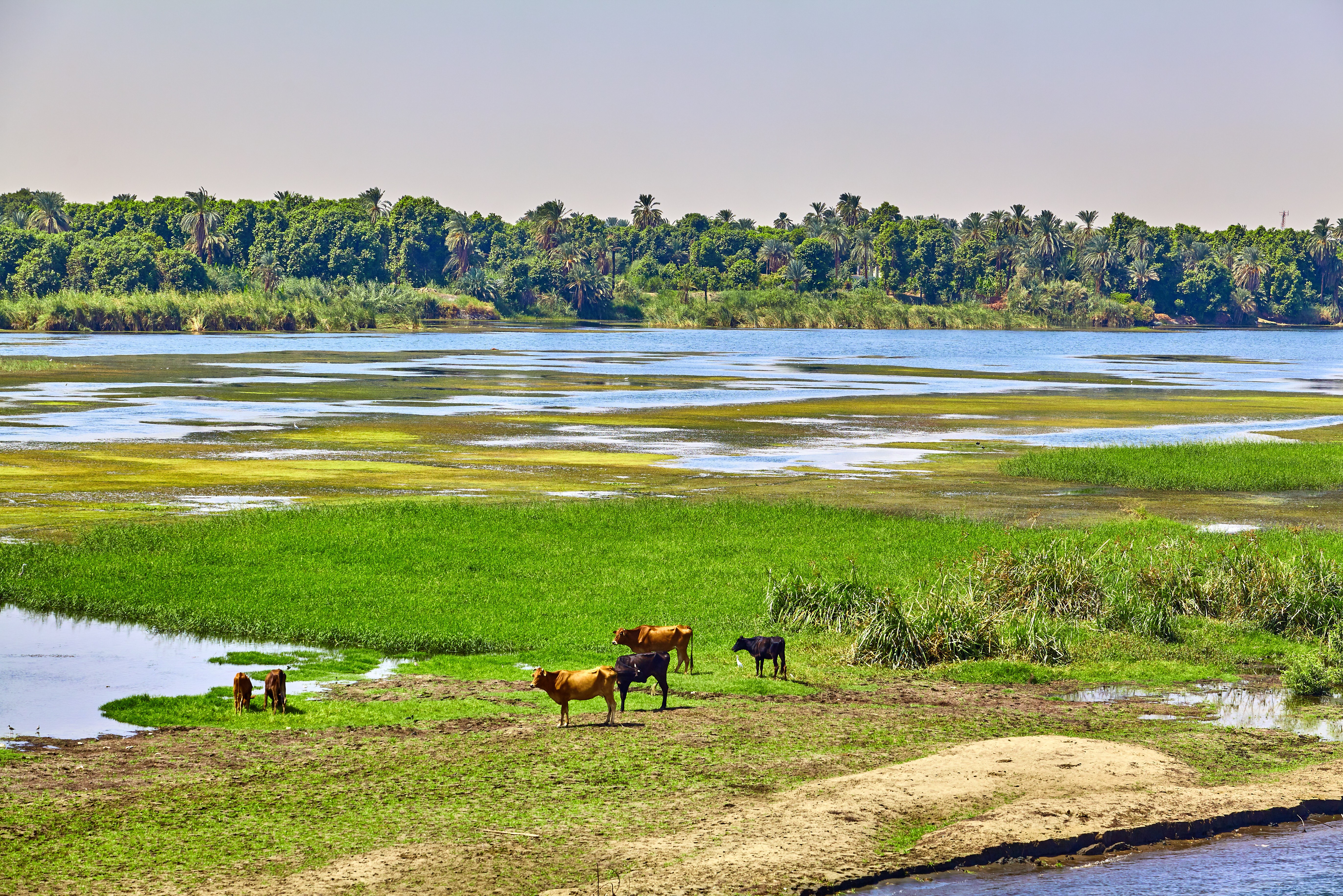 Leven langs de rivier de Nijl in Egypte