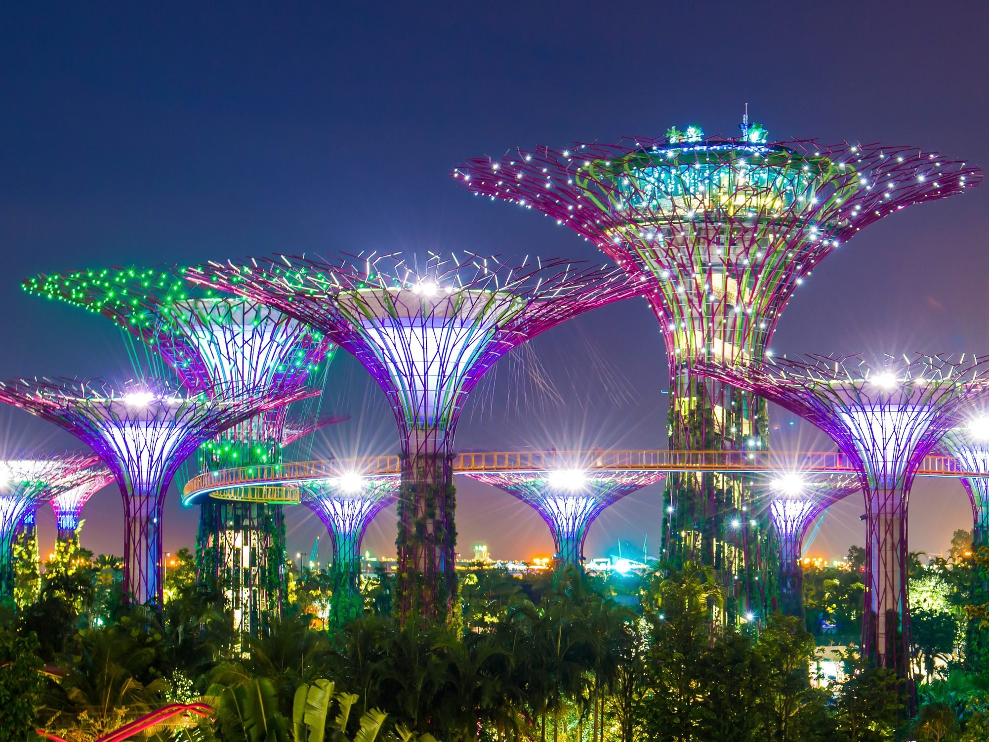 Singapore-Gardens-by-the-Bay-Avond-met-kleurige-lichtjes