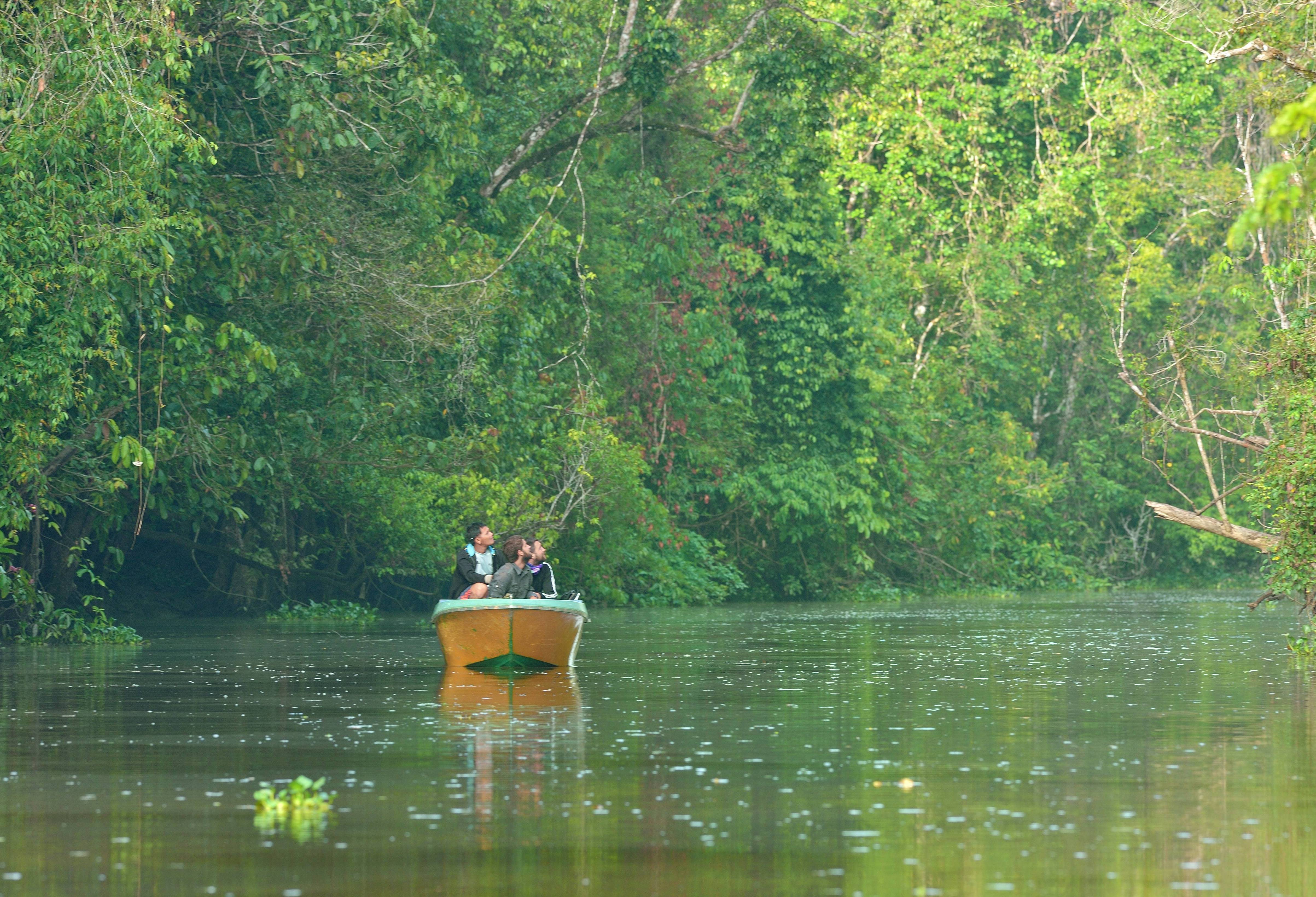 Bootocht op de Kinabatangan-rivier in Borneo
