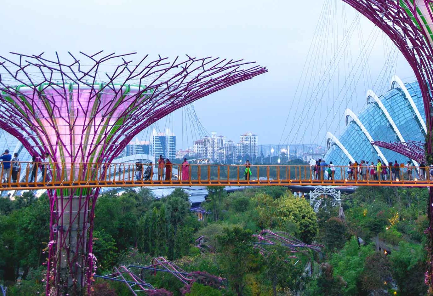 Supertrees bij Gardens by the Bay in Singapore