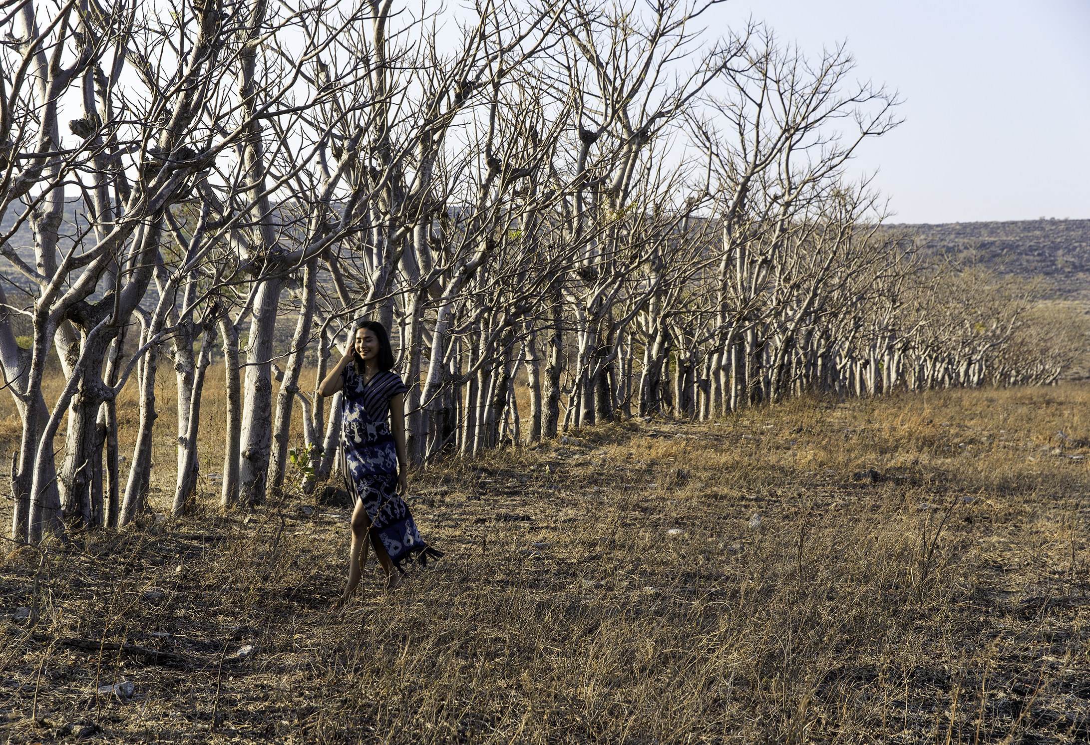 Indonesie-Sumba-Savana-Puru-Kambera