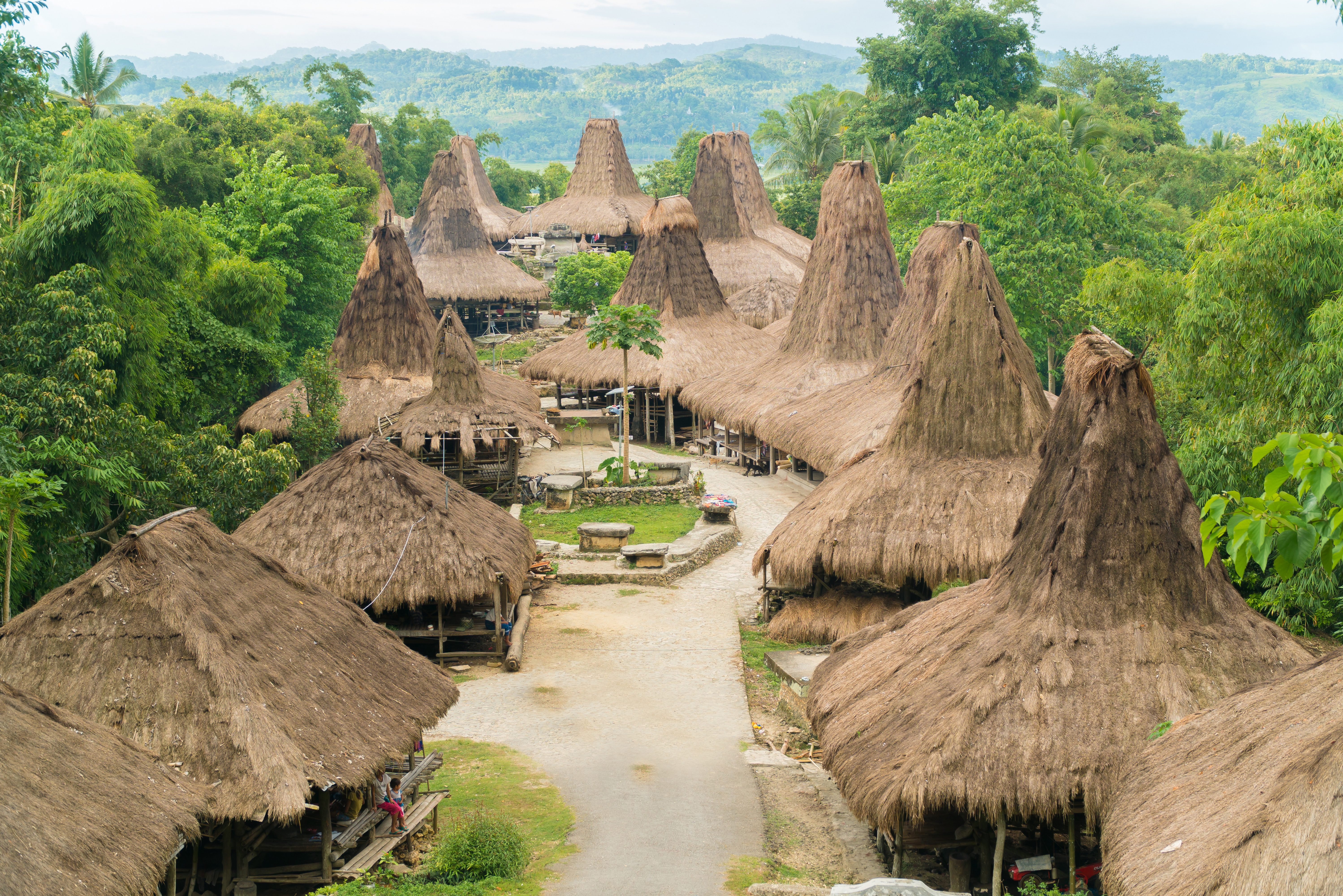 Indonesie-Sumba-Prai-Ijing-Traditional-Houses