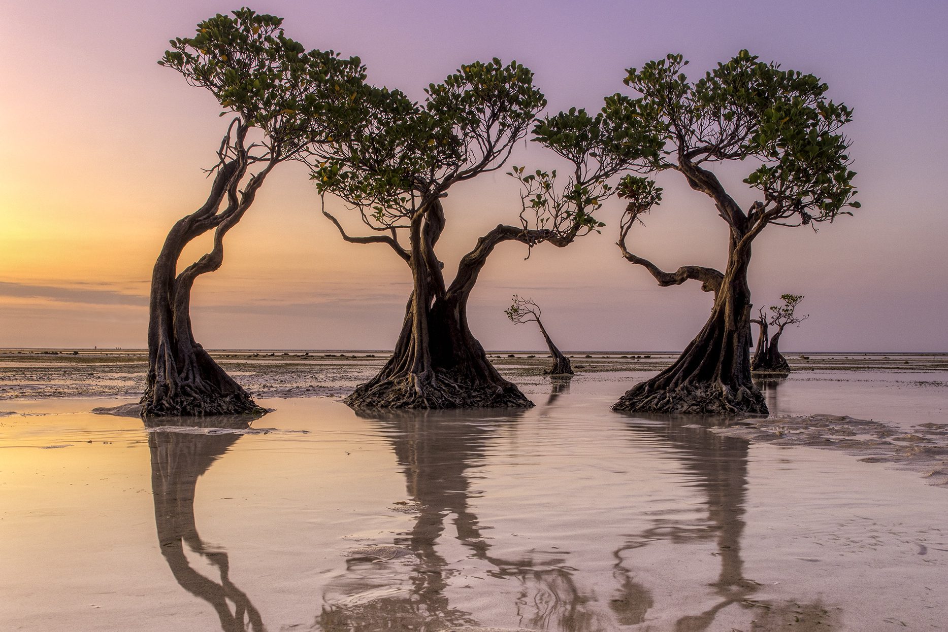 Indonesie-Sumba-Walakiri-Beach