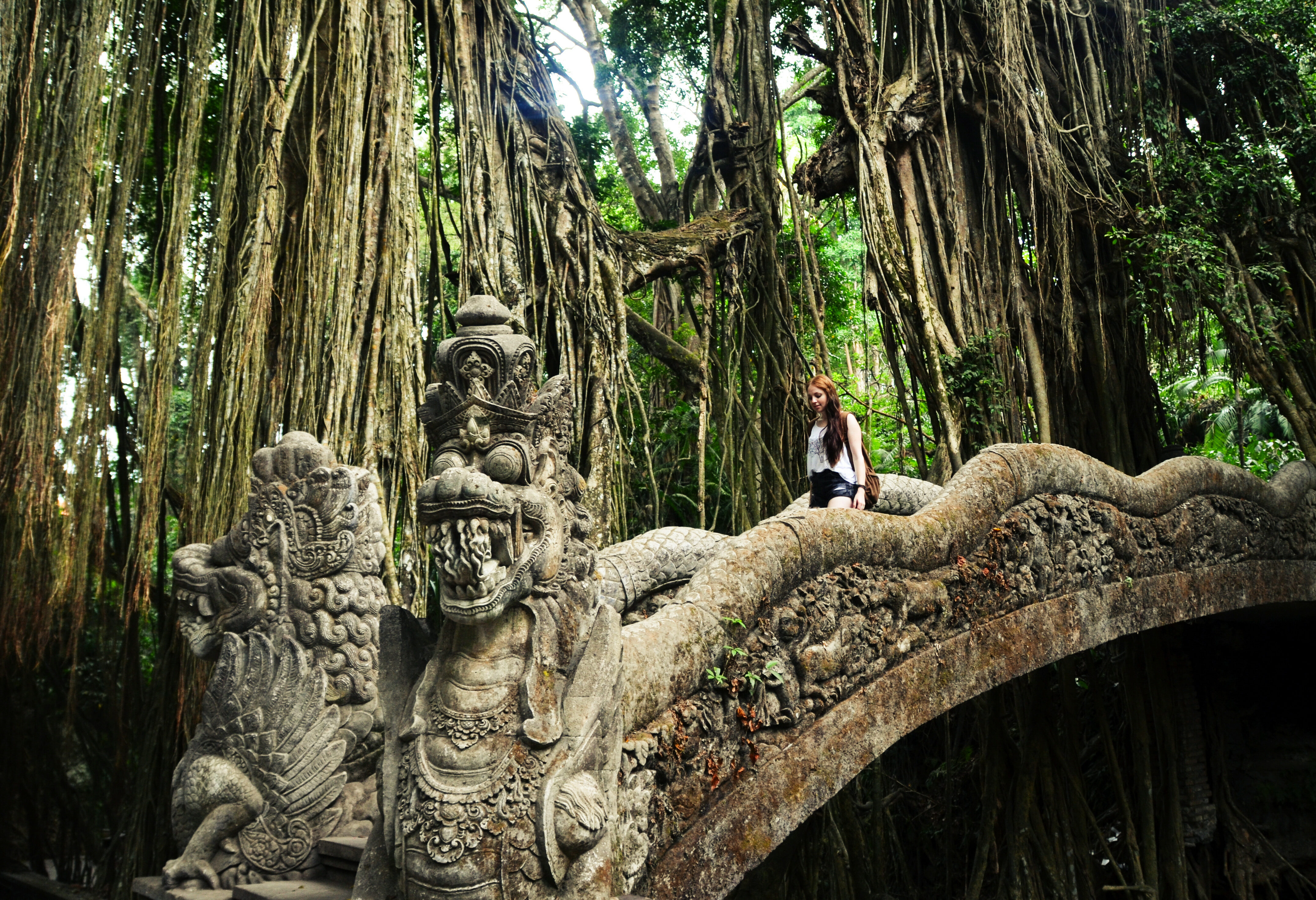 Indonesie Bali Ubud Monkey Forest