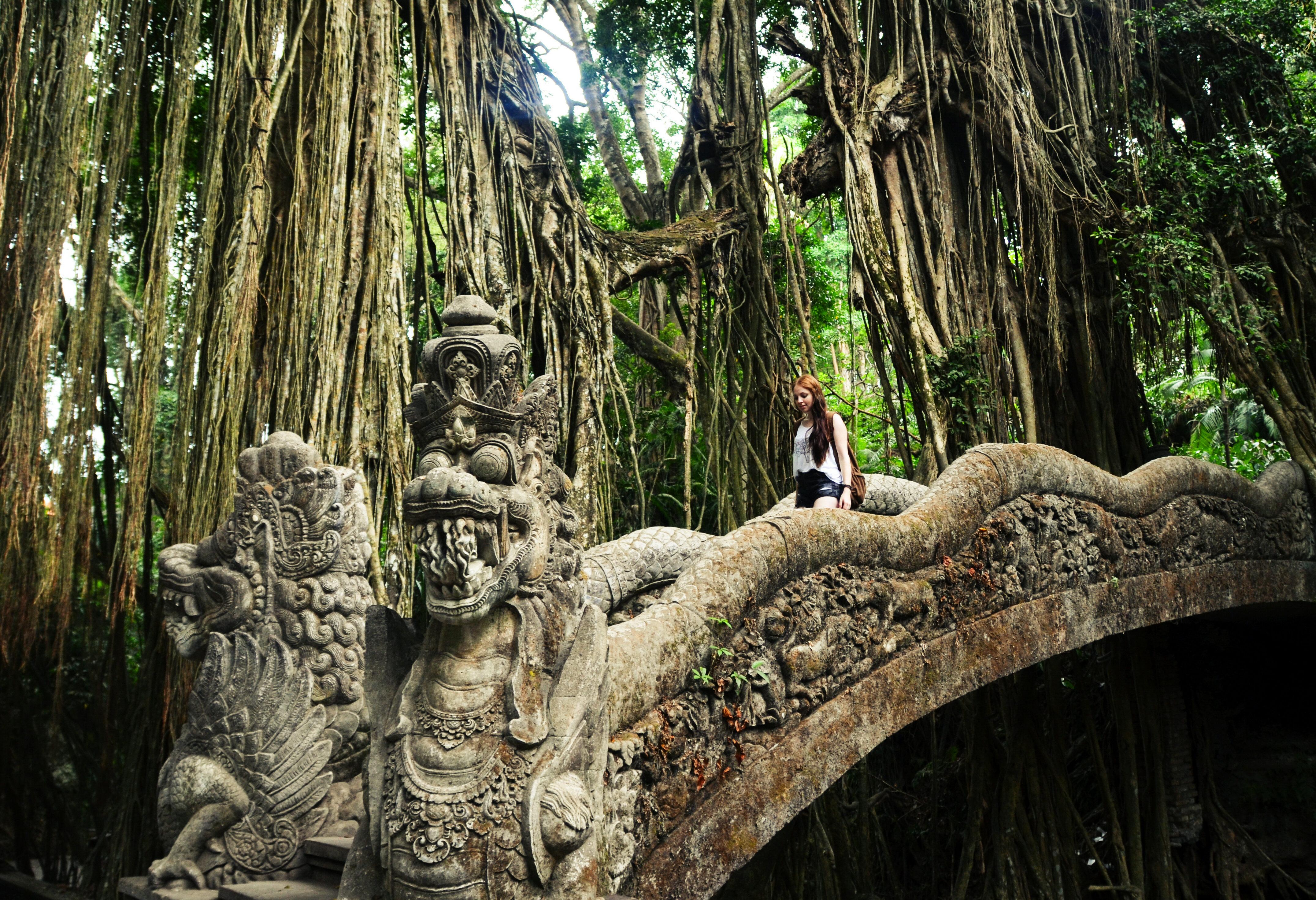 Indonesie Bali Ubud Monkey Forest