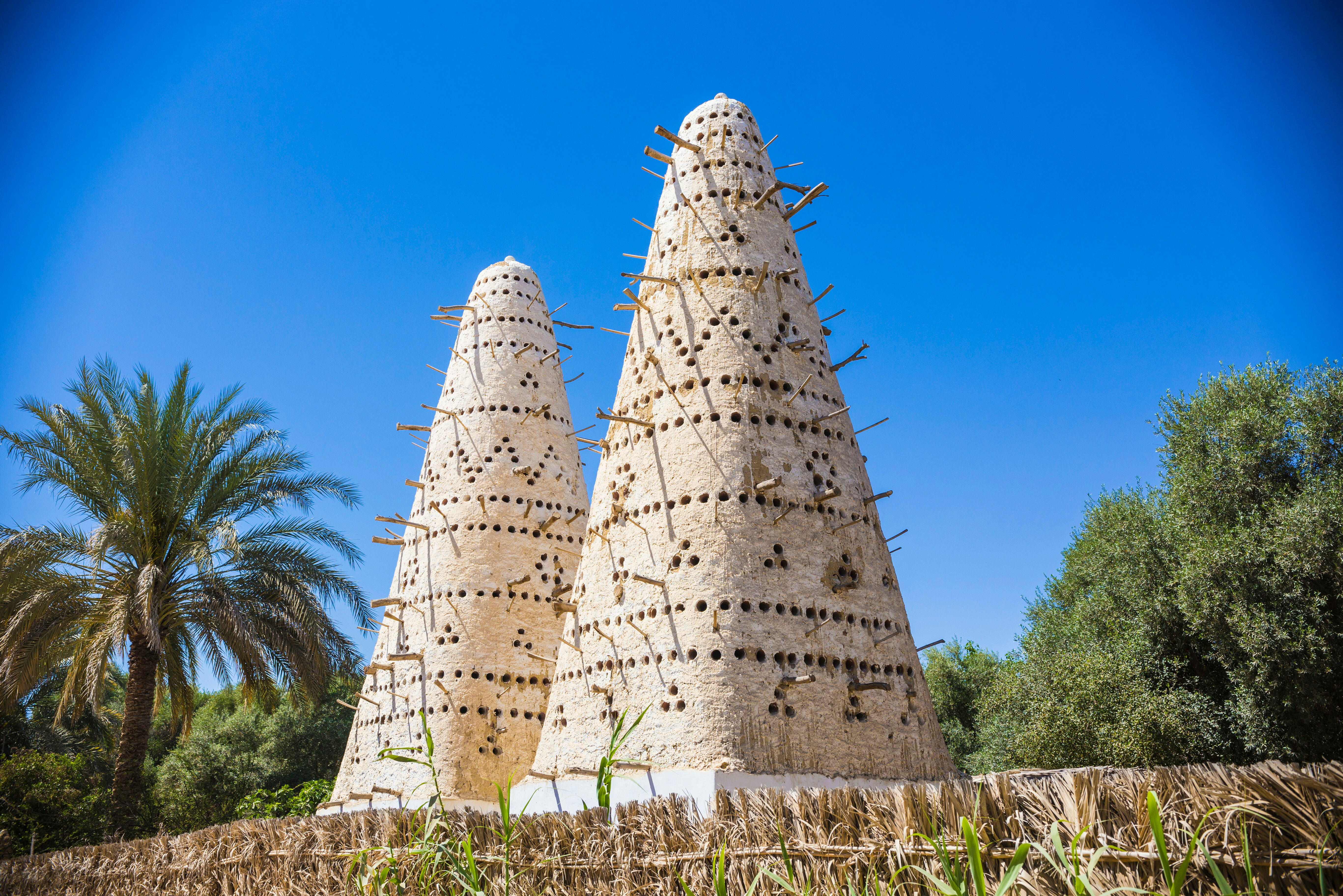 Traditioneel duivenhuis in Siwa Egypte