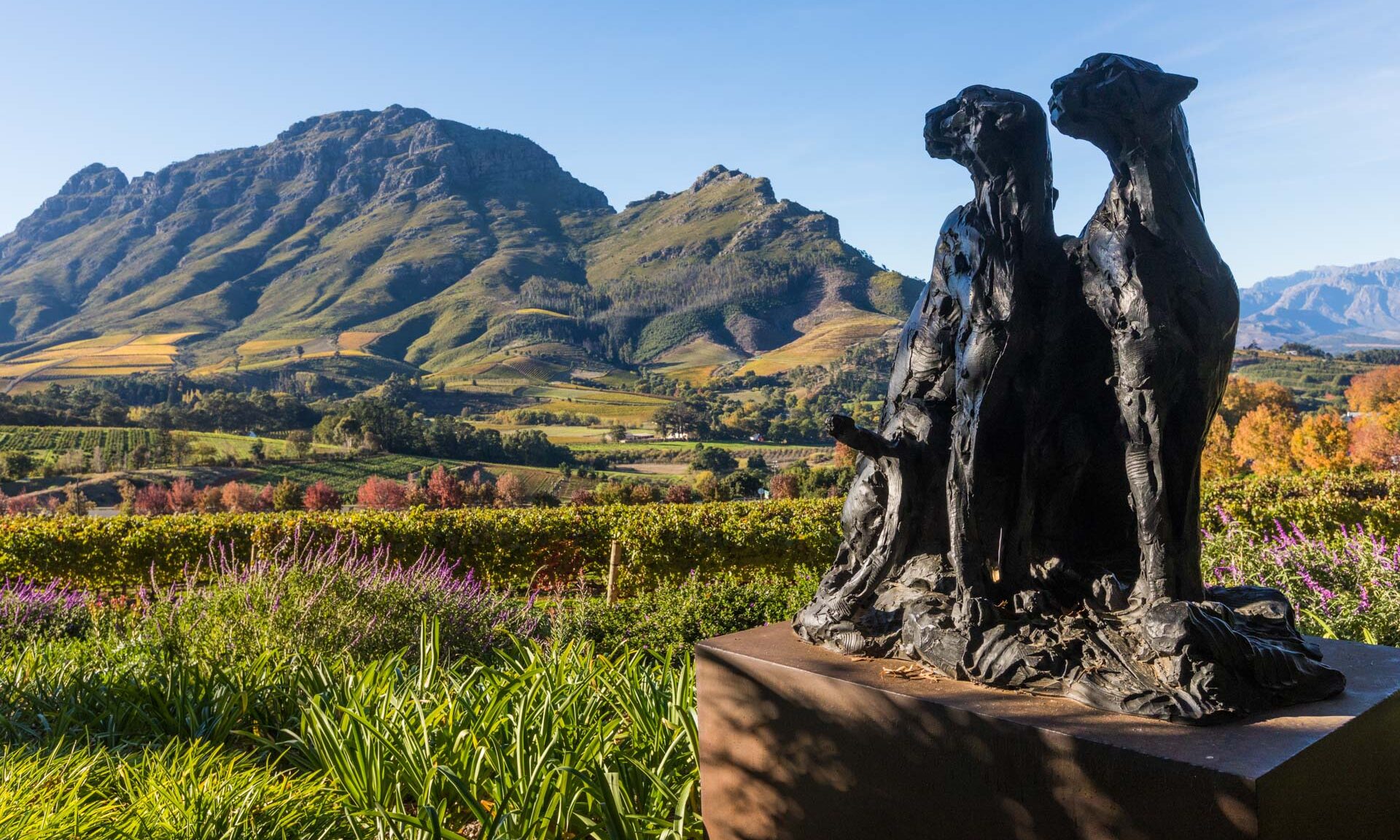 Delaire Graff Estate Stellenbosch Zuid-Afrika