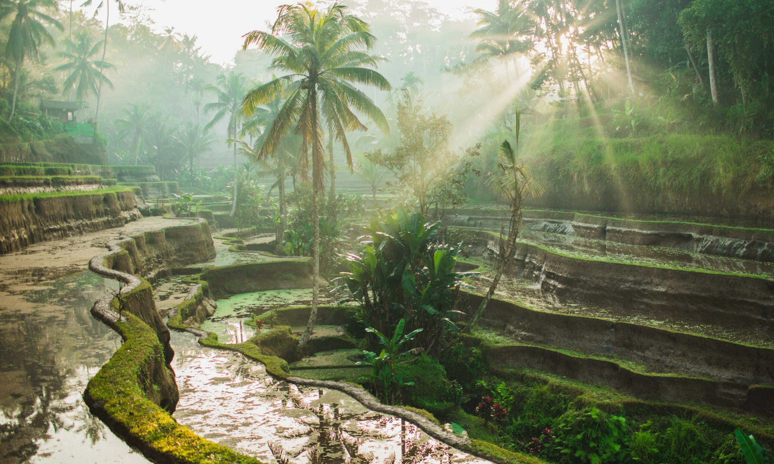 Bali