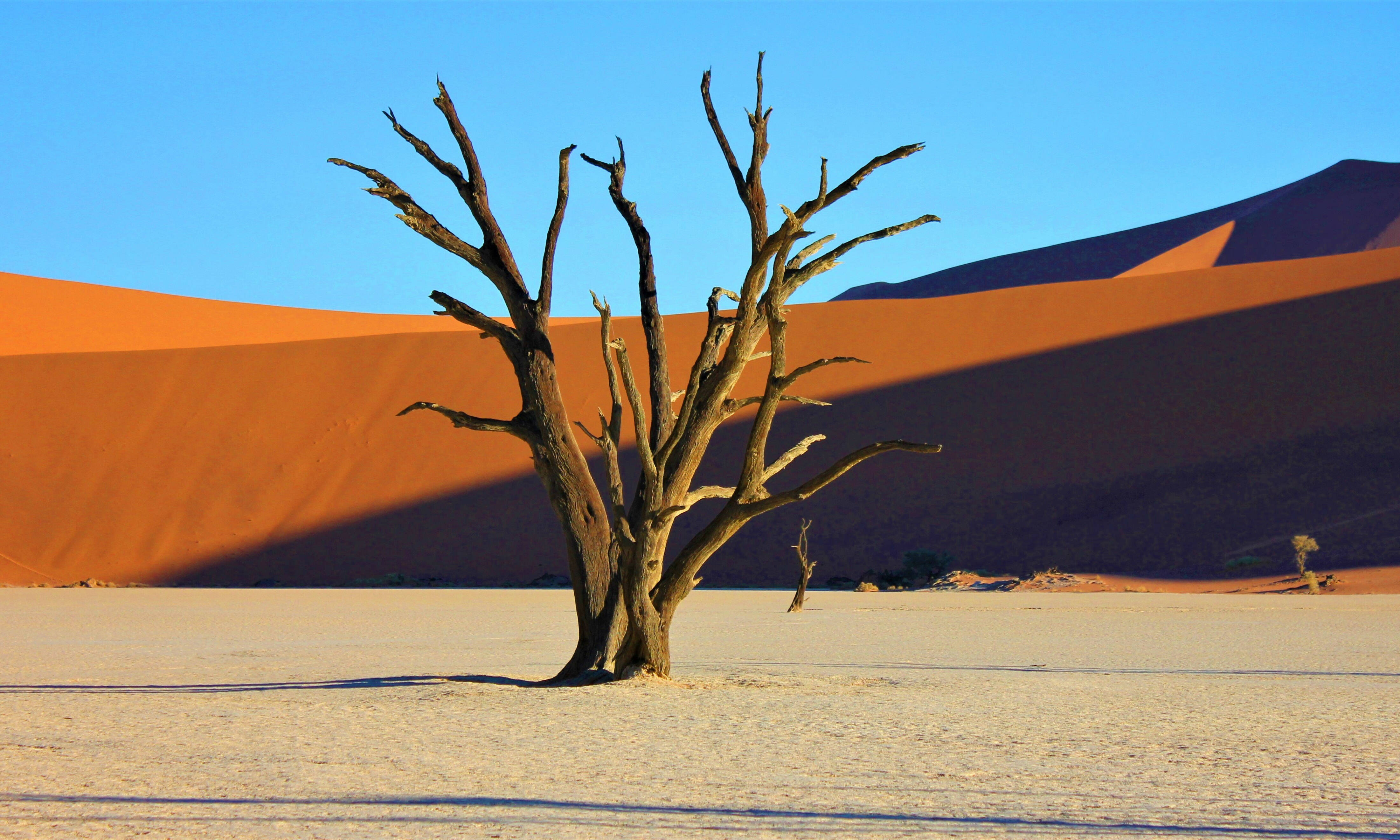 Deadvlei Namibie