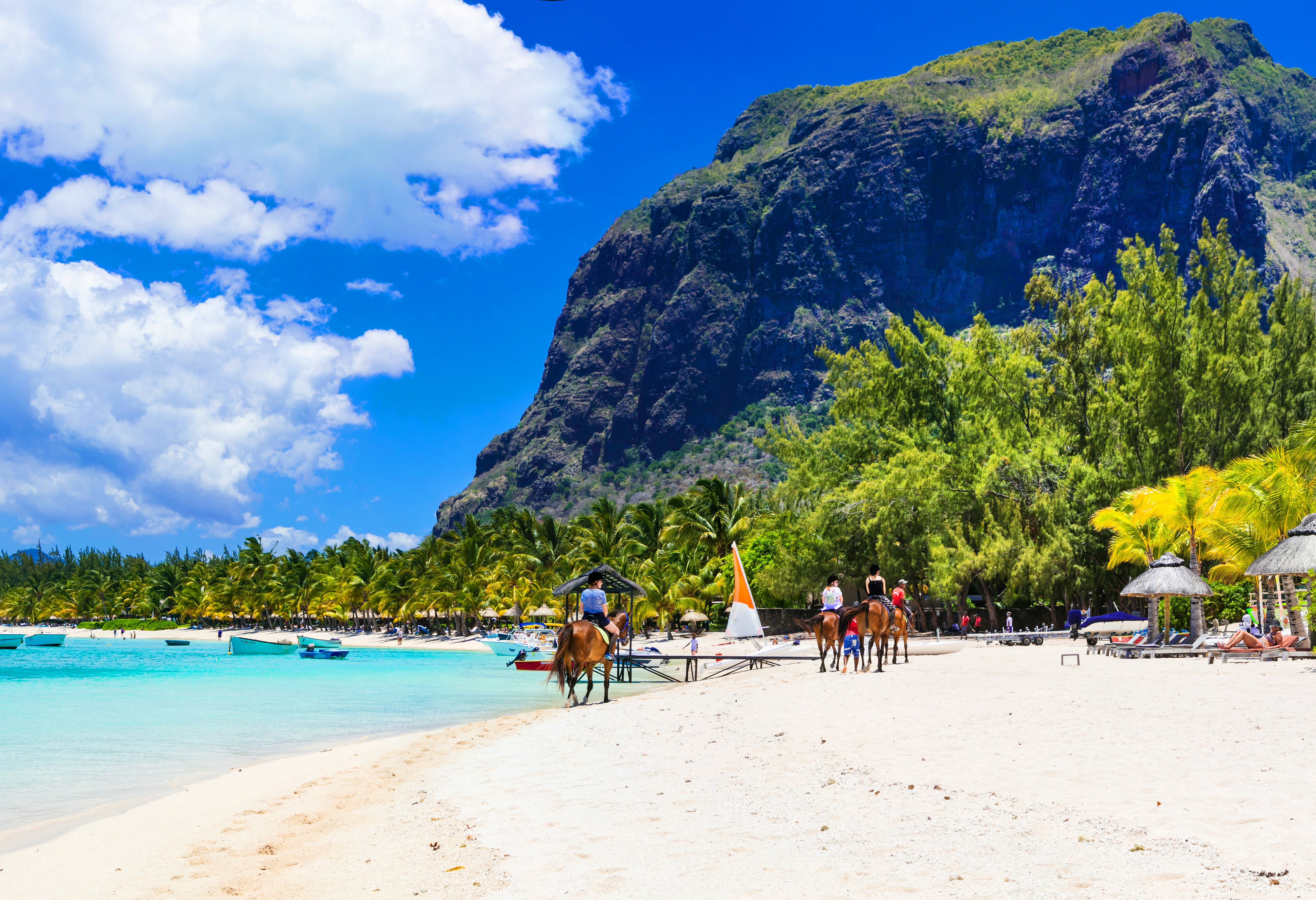 Mauritius Tropisch Strand Le Morne