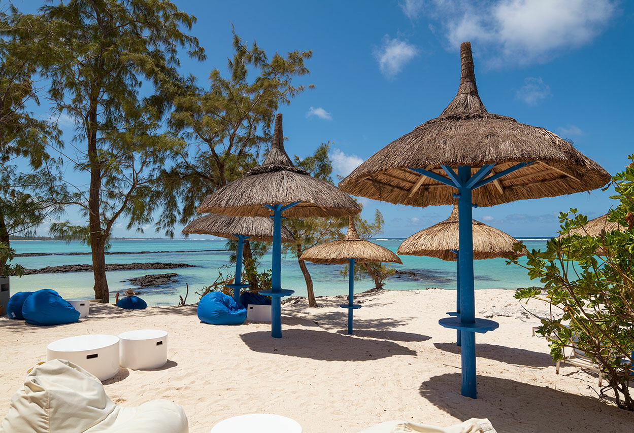 Mauritius Strand Palmar
