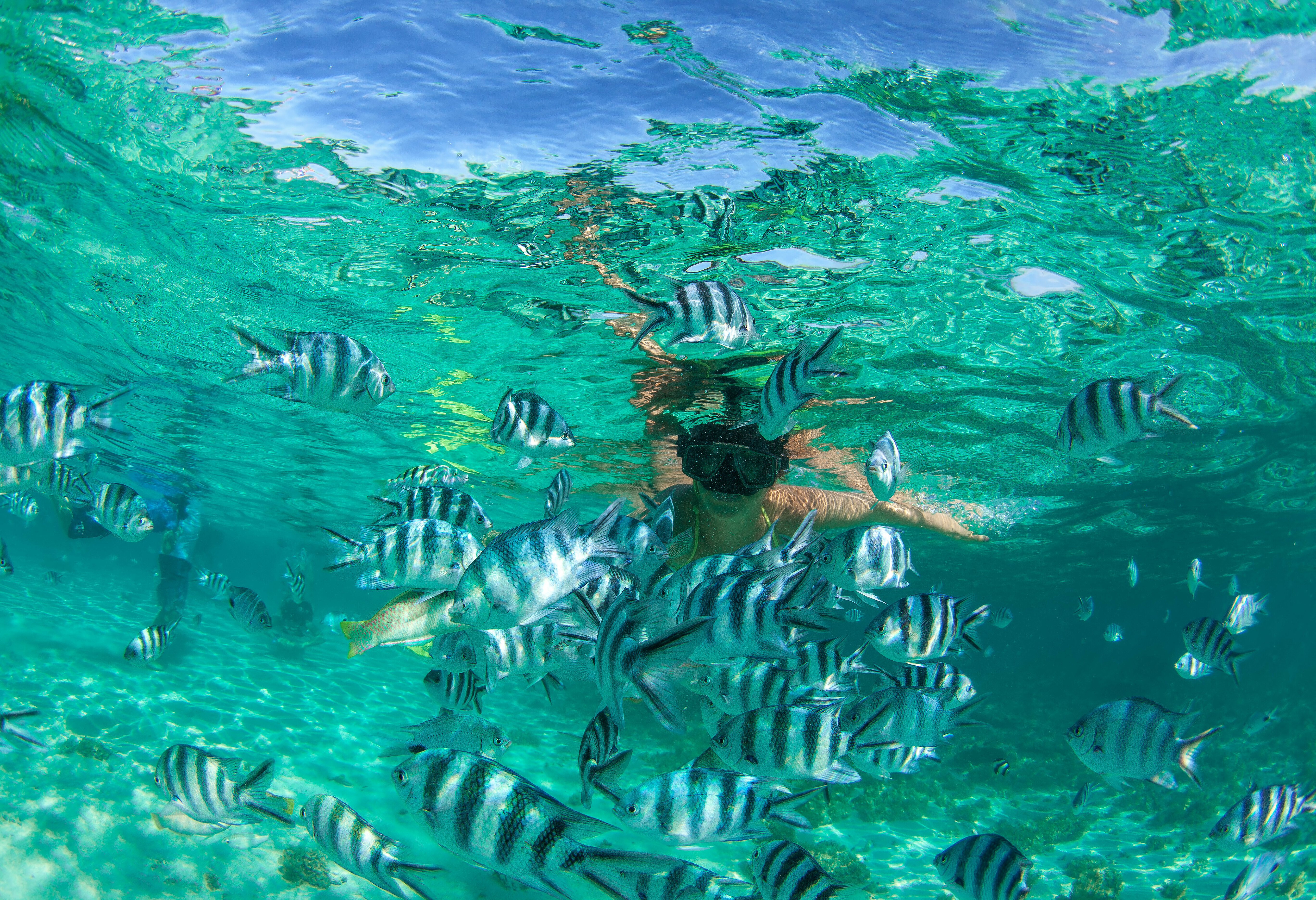 Mauritius Onderwaterwereld