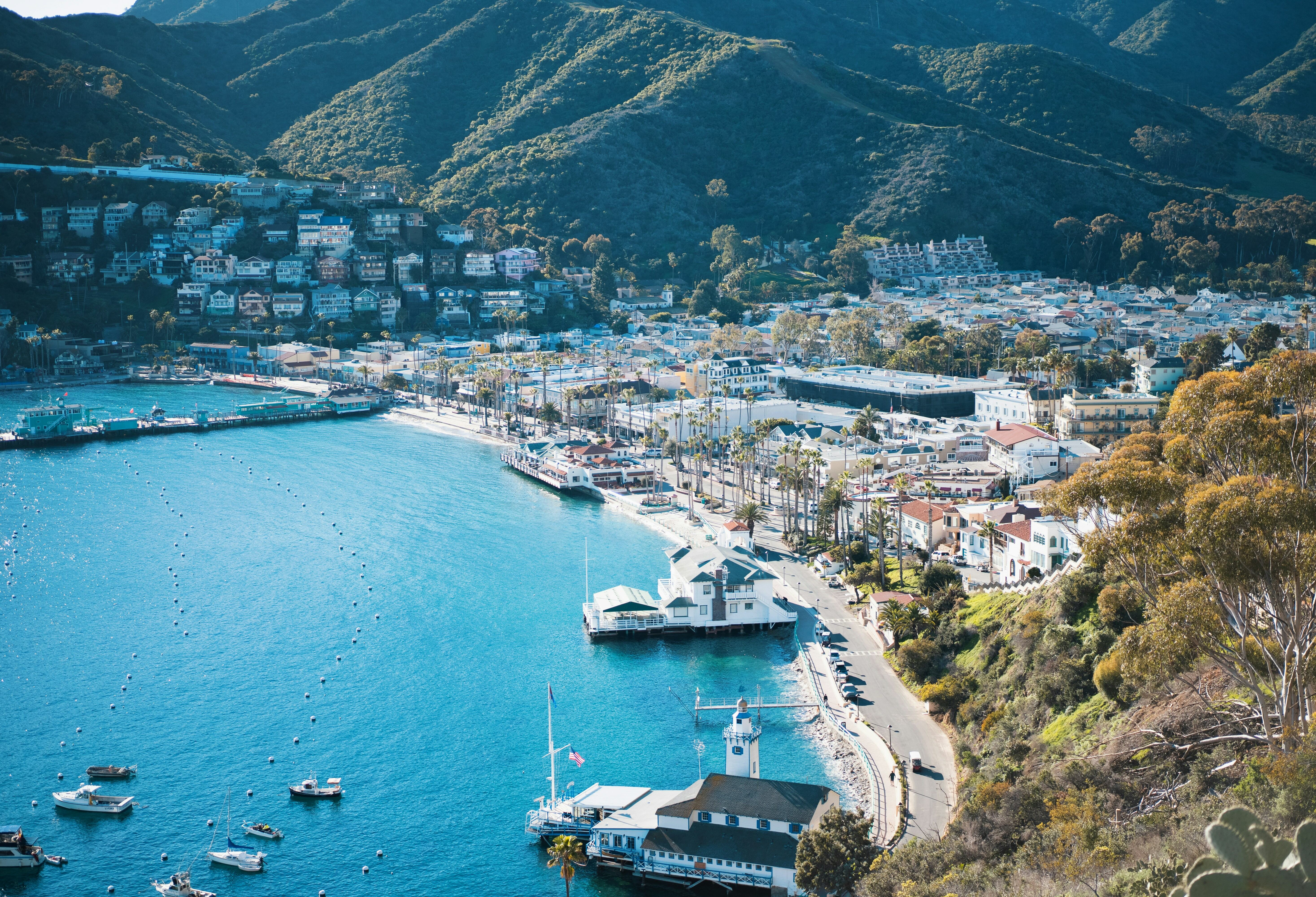 Catalina Island Califonië Amerika