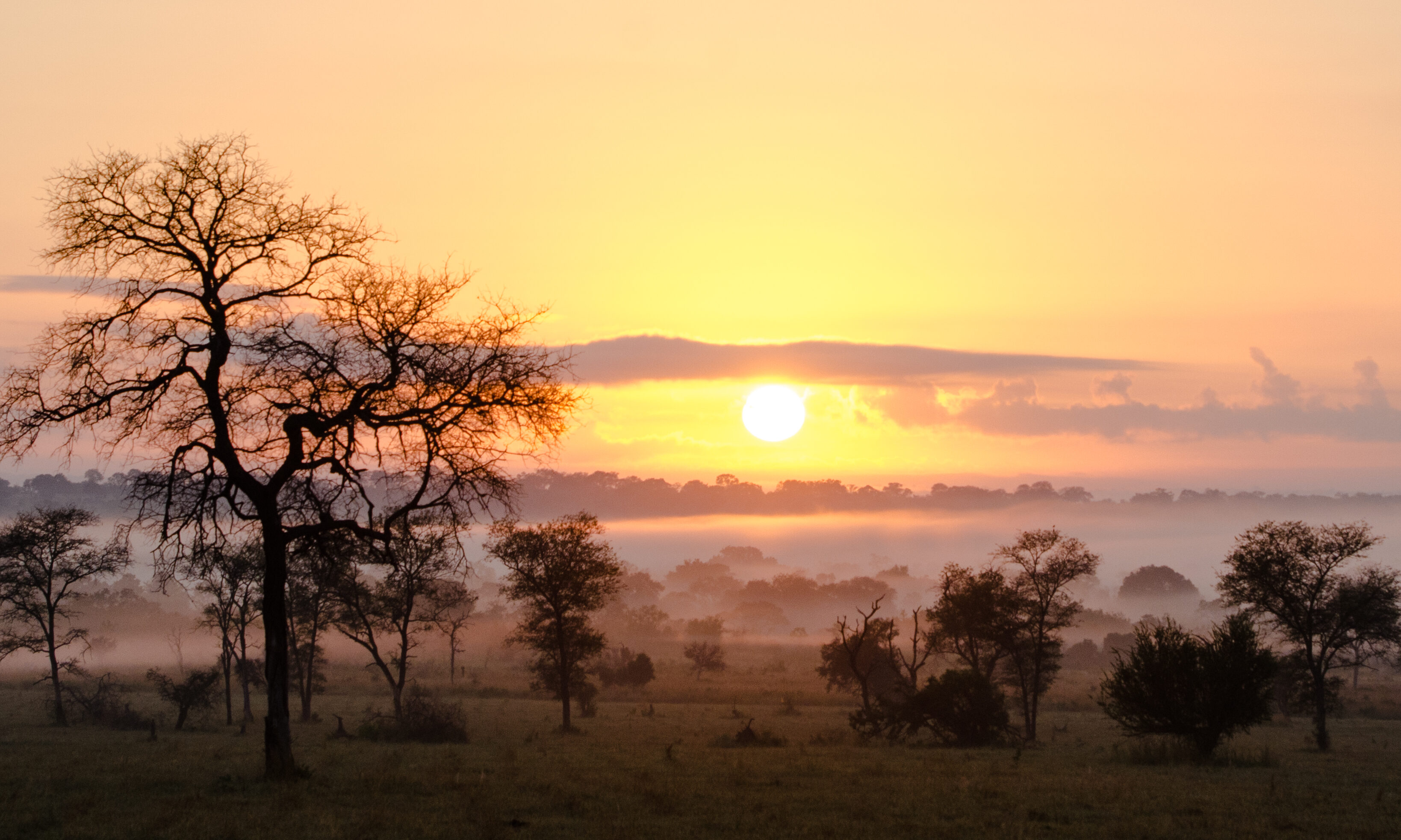 Kruger Park Zuid Afrika