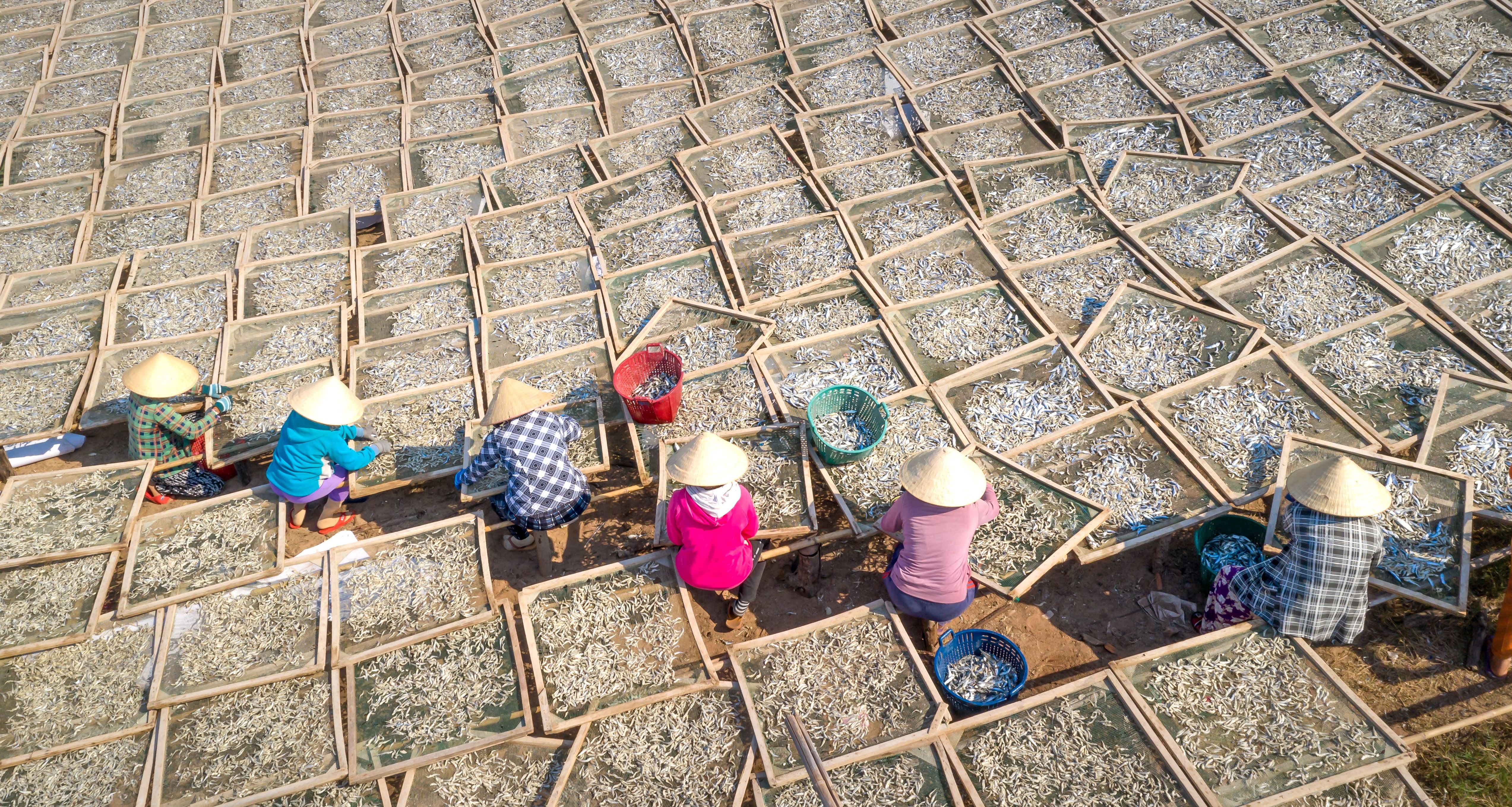 Vissersdorpjes op Phu Quoc