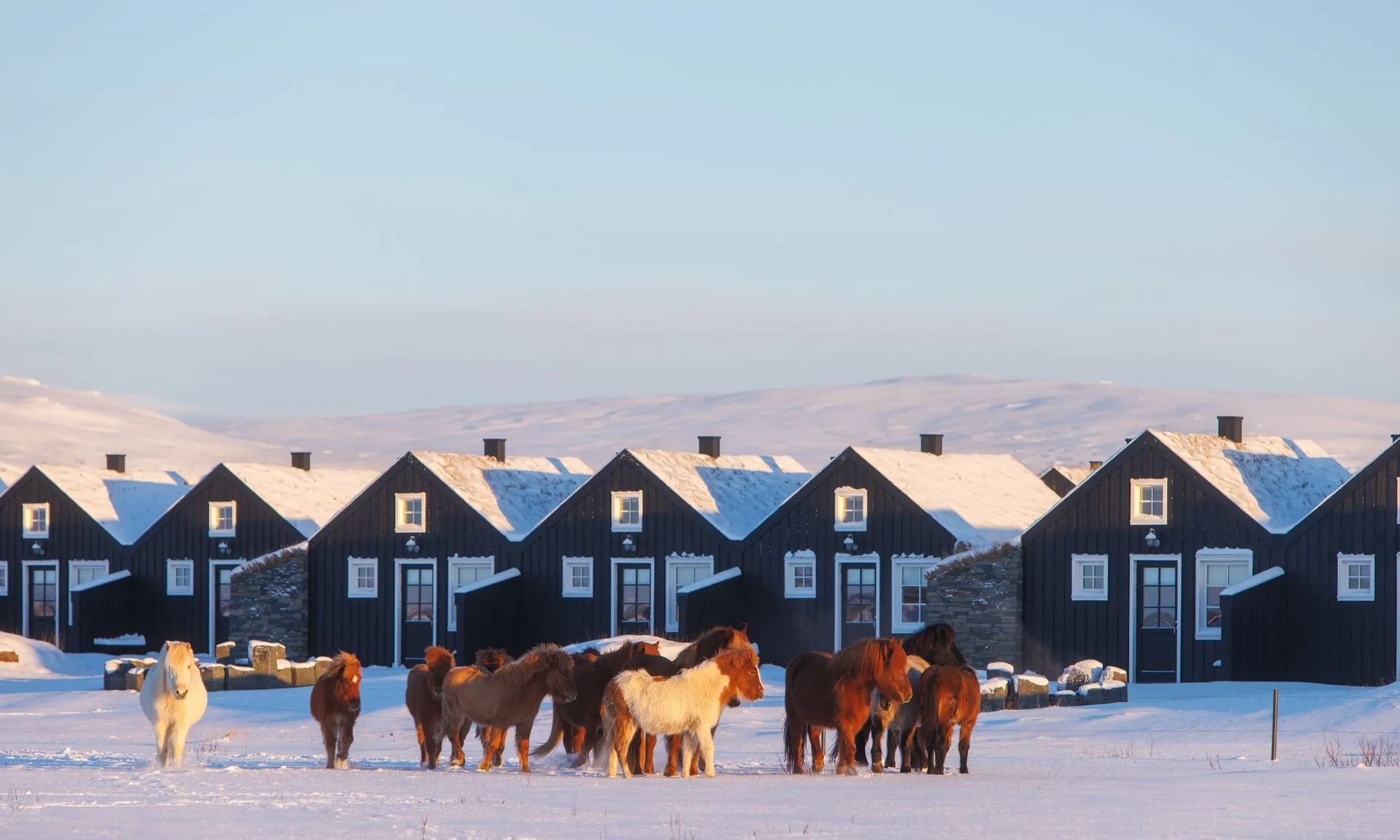Torfhus Retreat IJsland