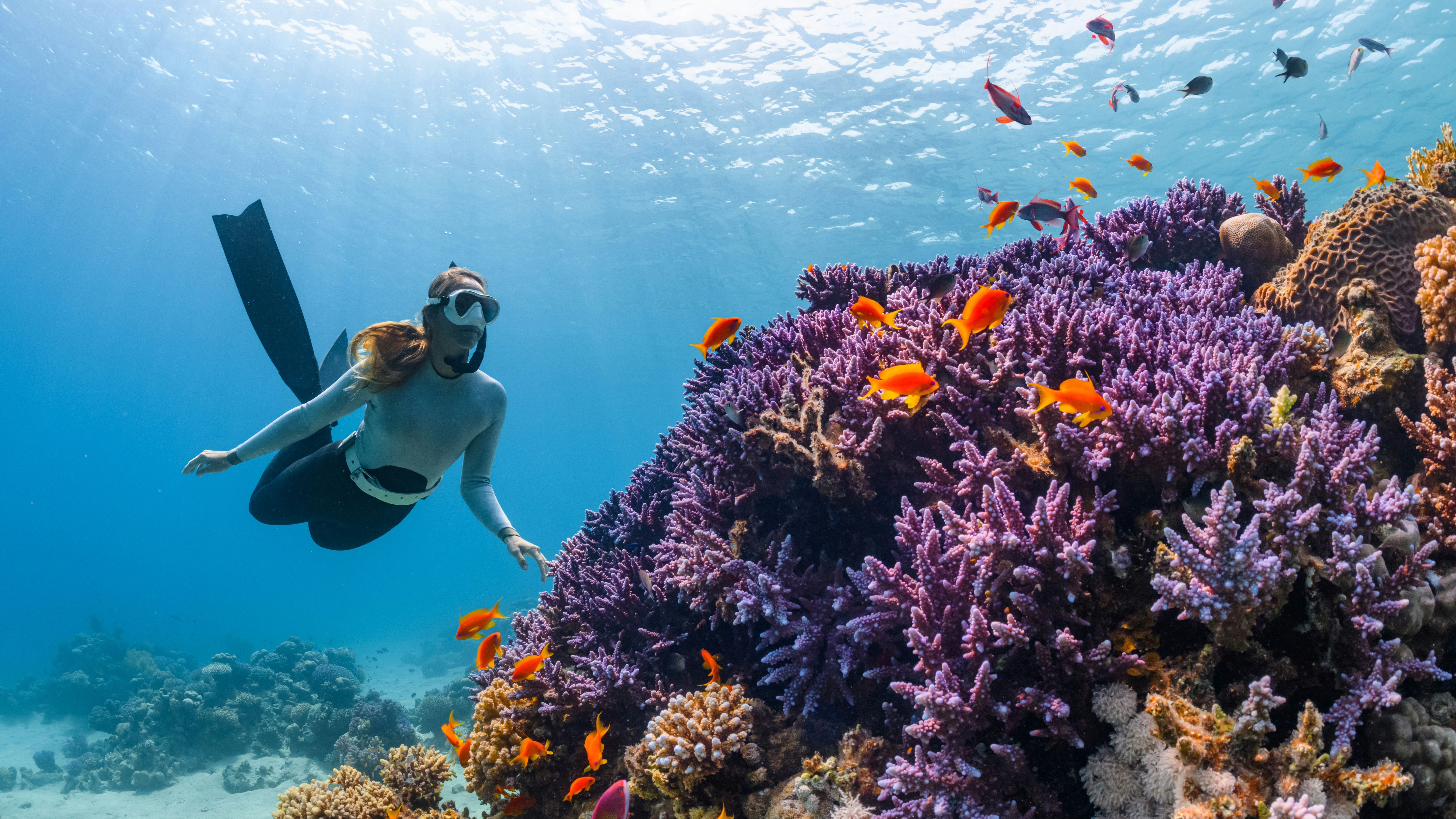 Snorkelen Filipijnen