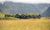 Eleven Deplar Farm IJsland