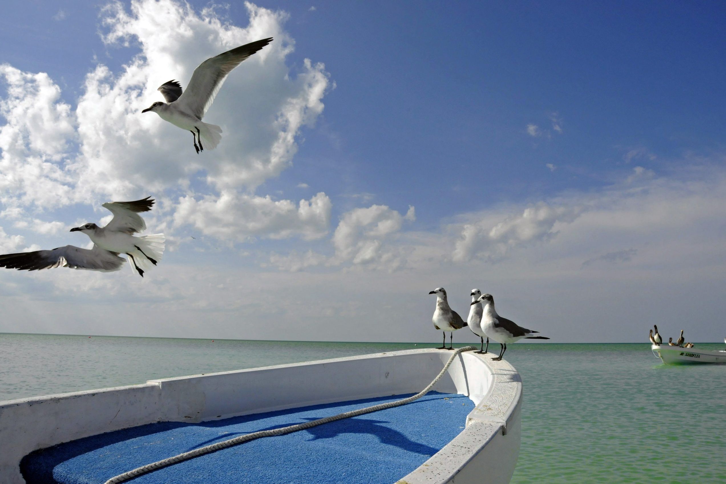 Mexico Holbox by Xaloc Omgeving