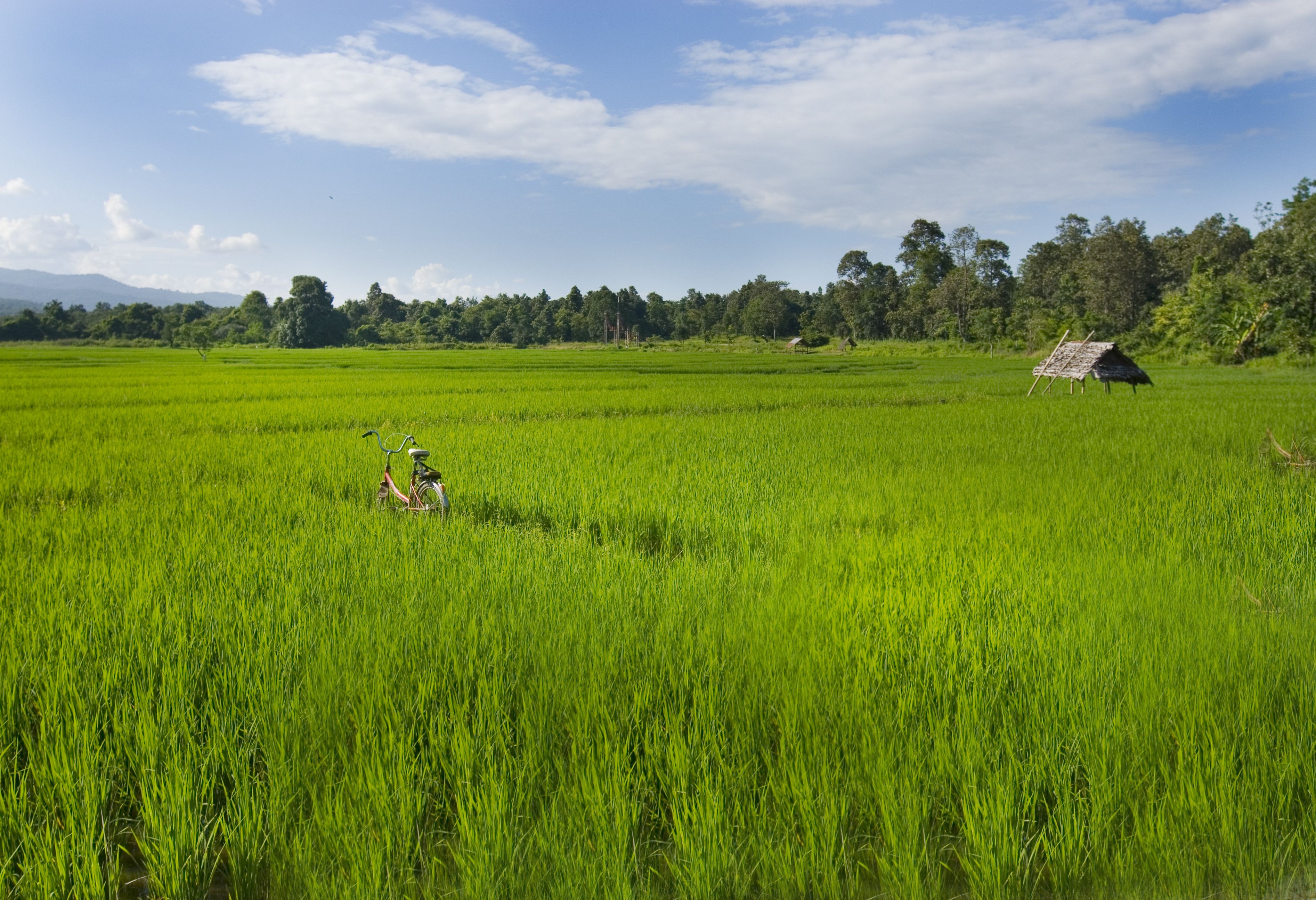 Landschap Nan provincie