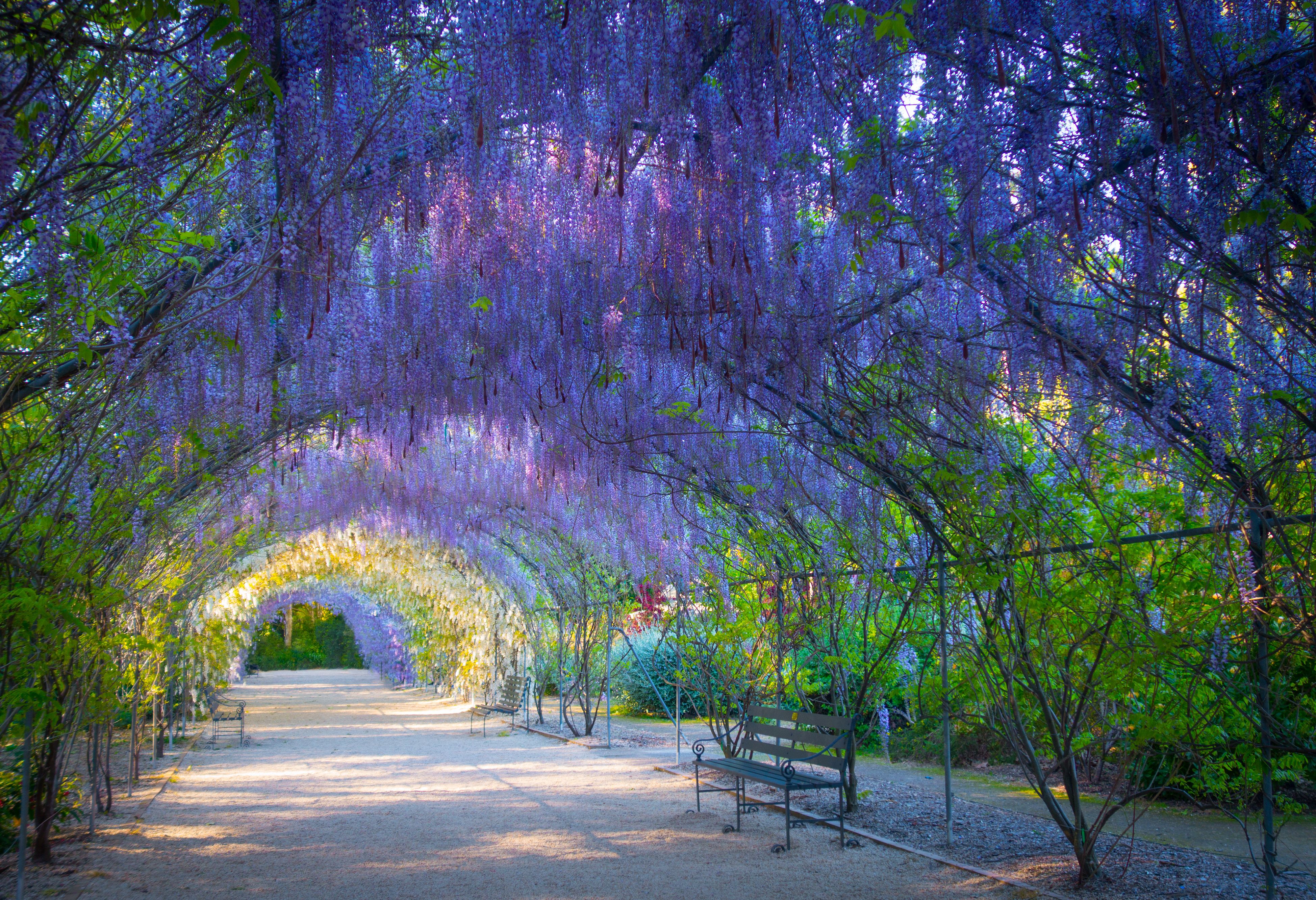 Botanical gardens Adelaide