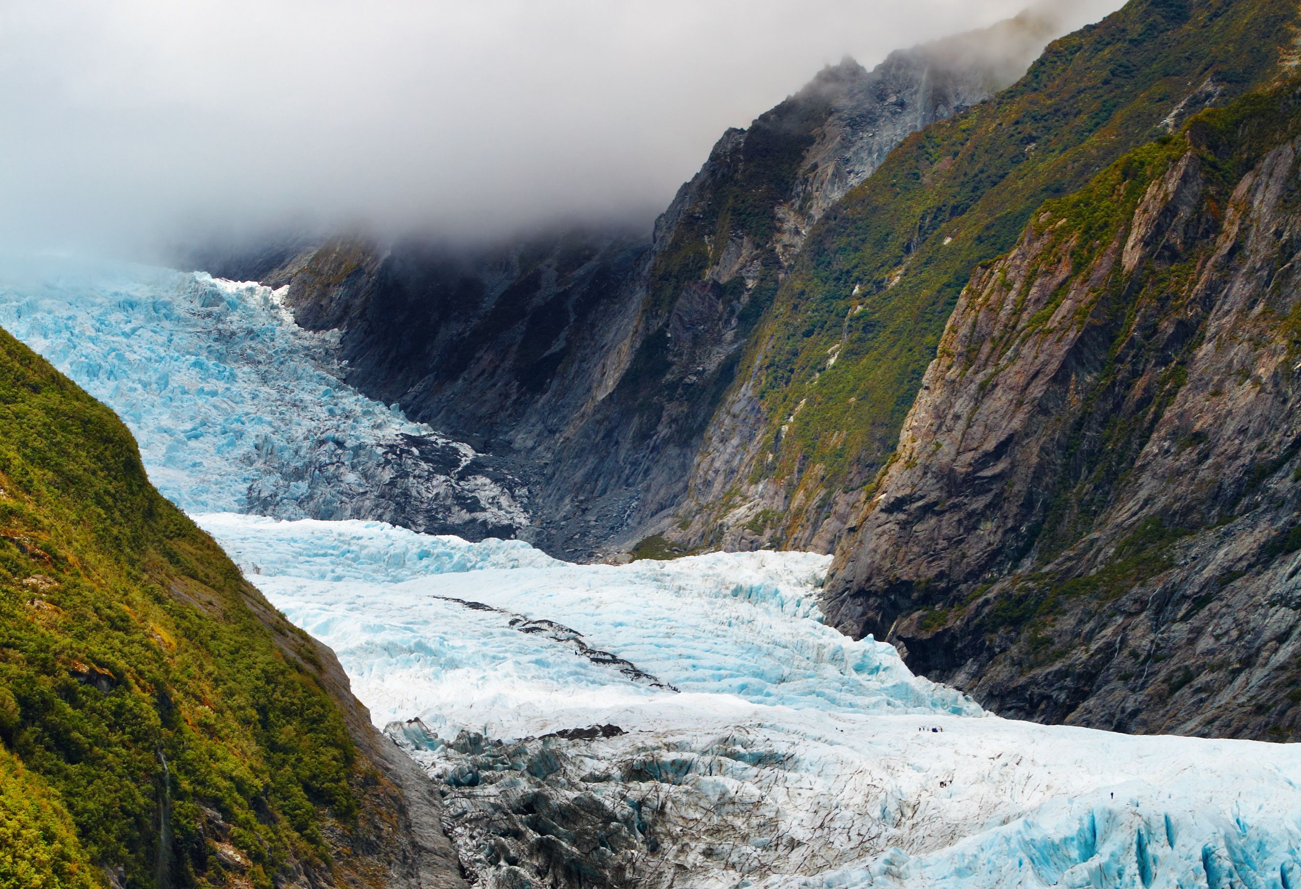 Franz Josef Gletjer Nieuw-Zeeland