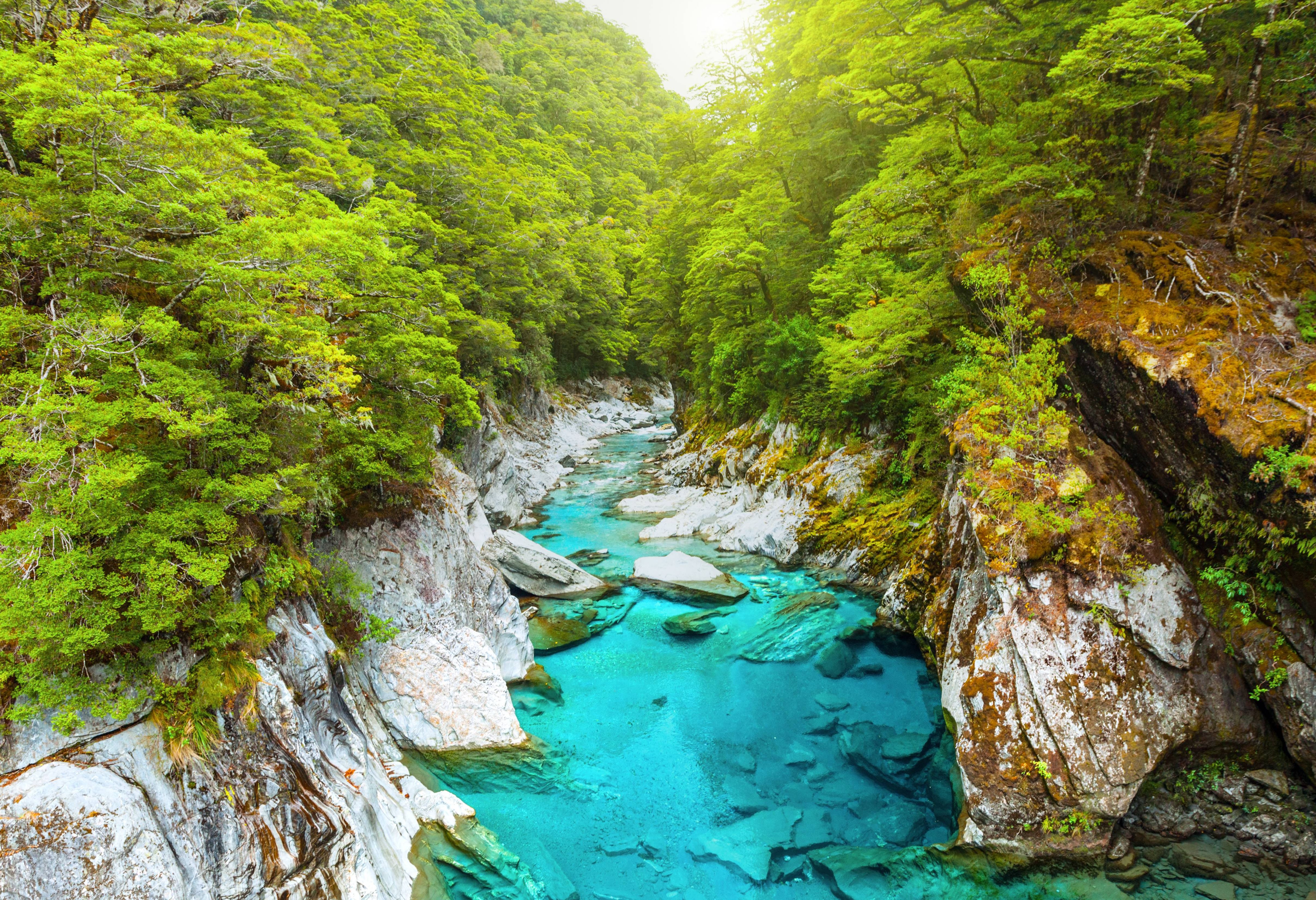 Haast Pass Nieuw-Zeeland