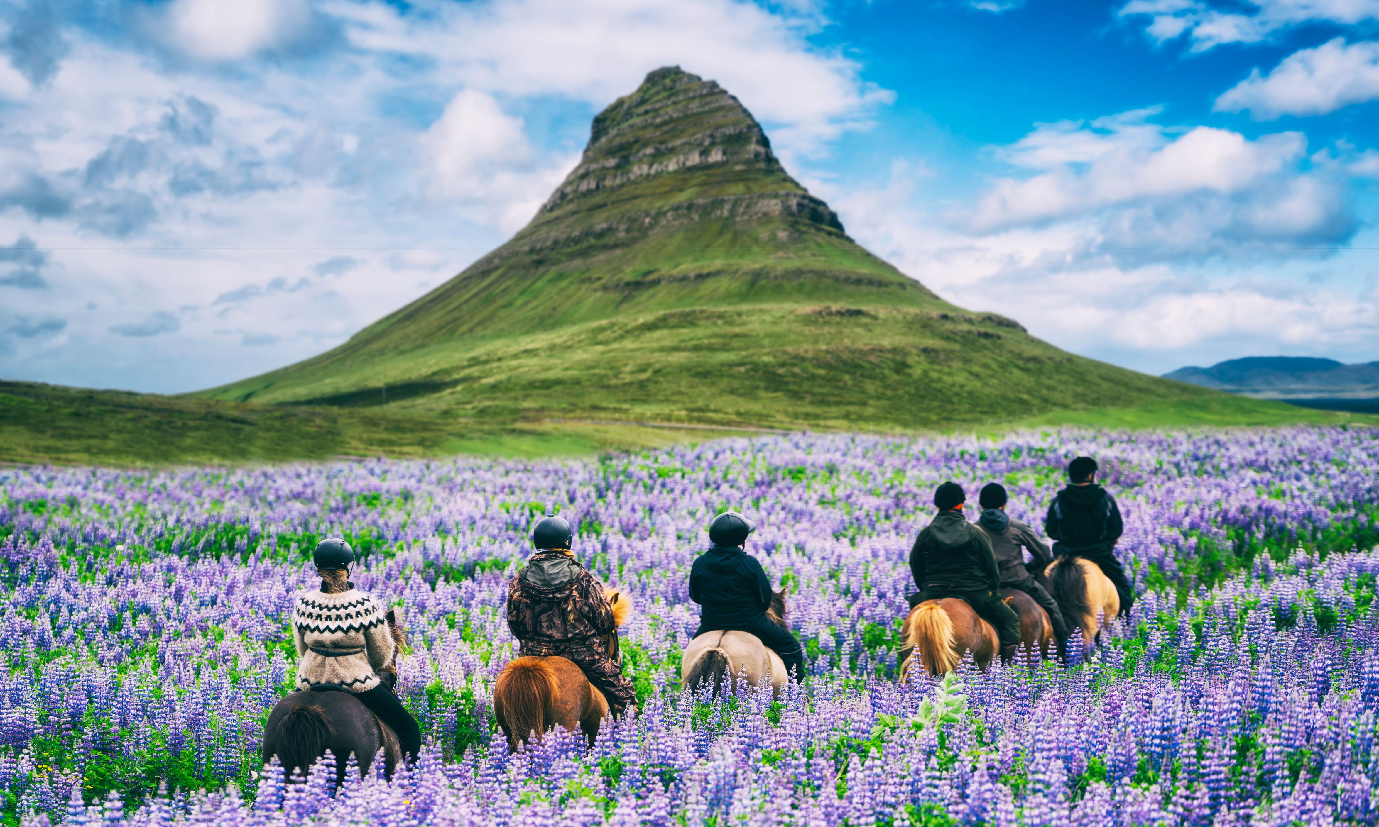 Snæfellsnes IJsland