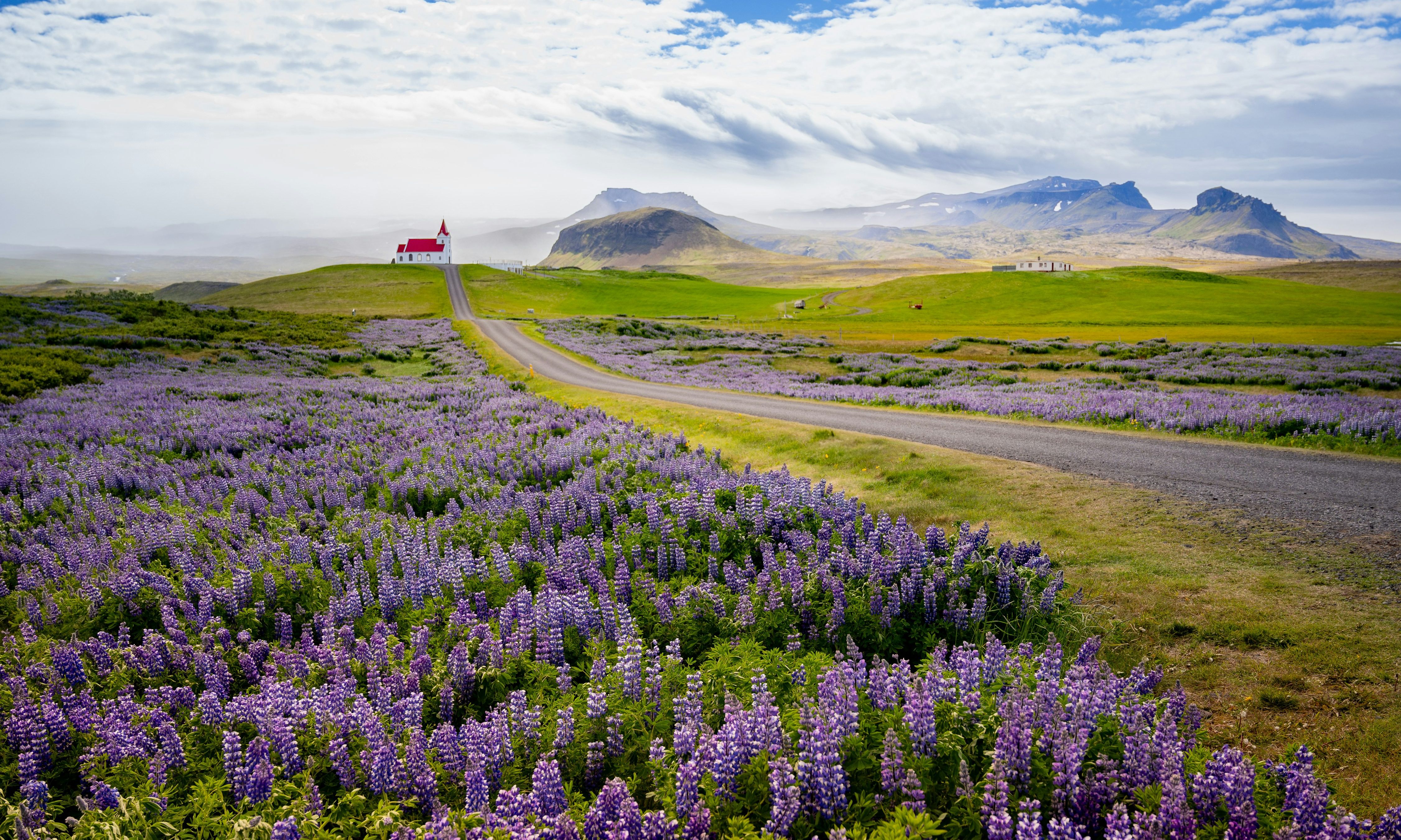 IJsland-Snaefellsnes-peninsula-kerkje-weg