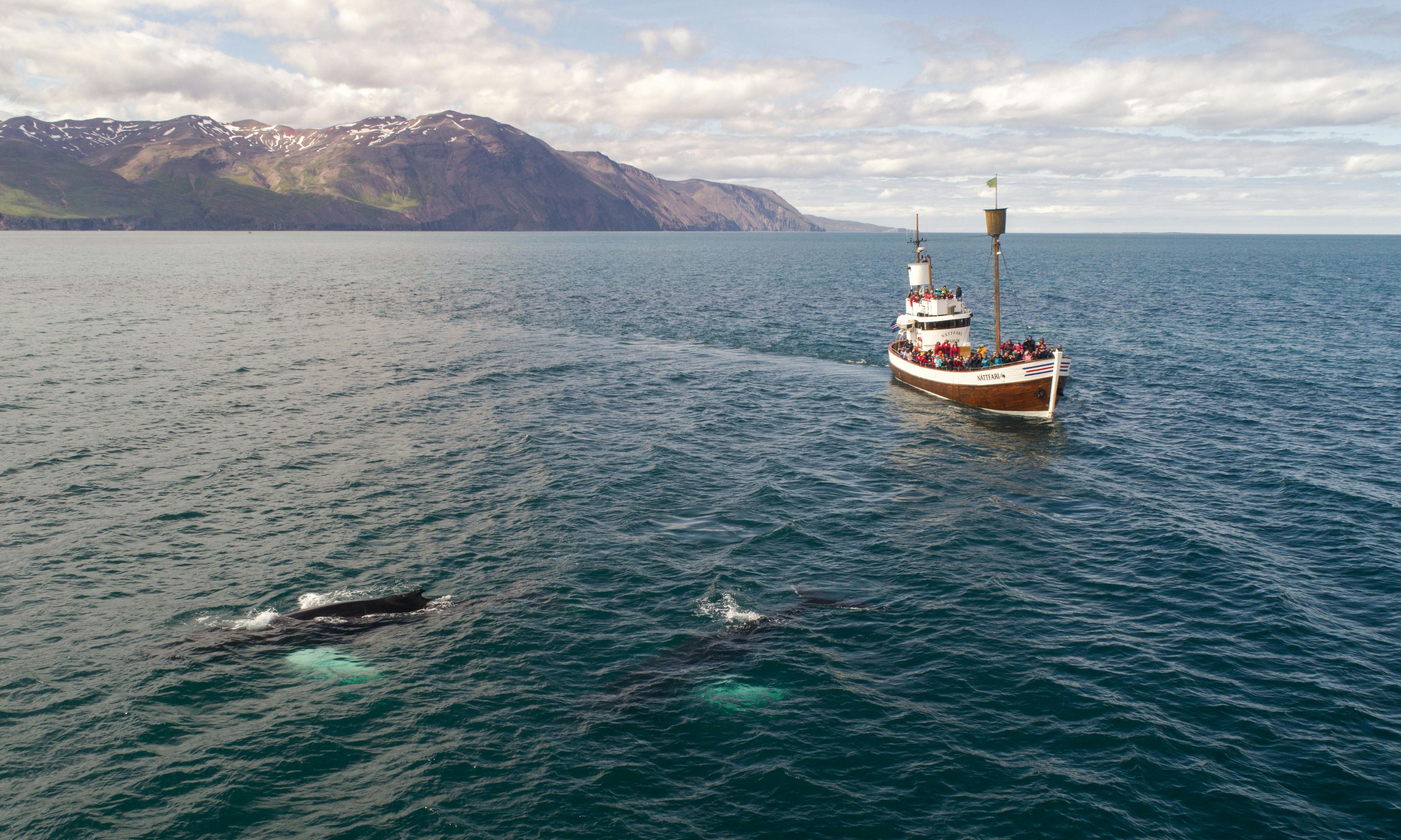 Husavik IJsland