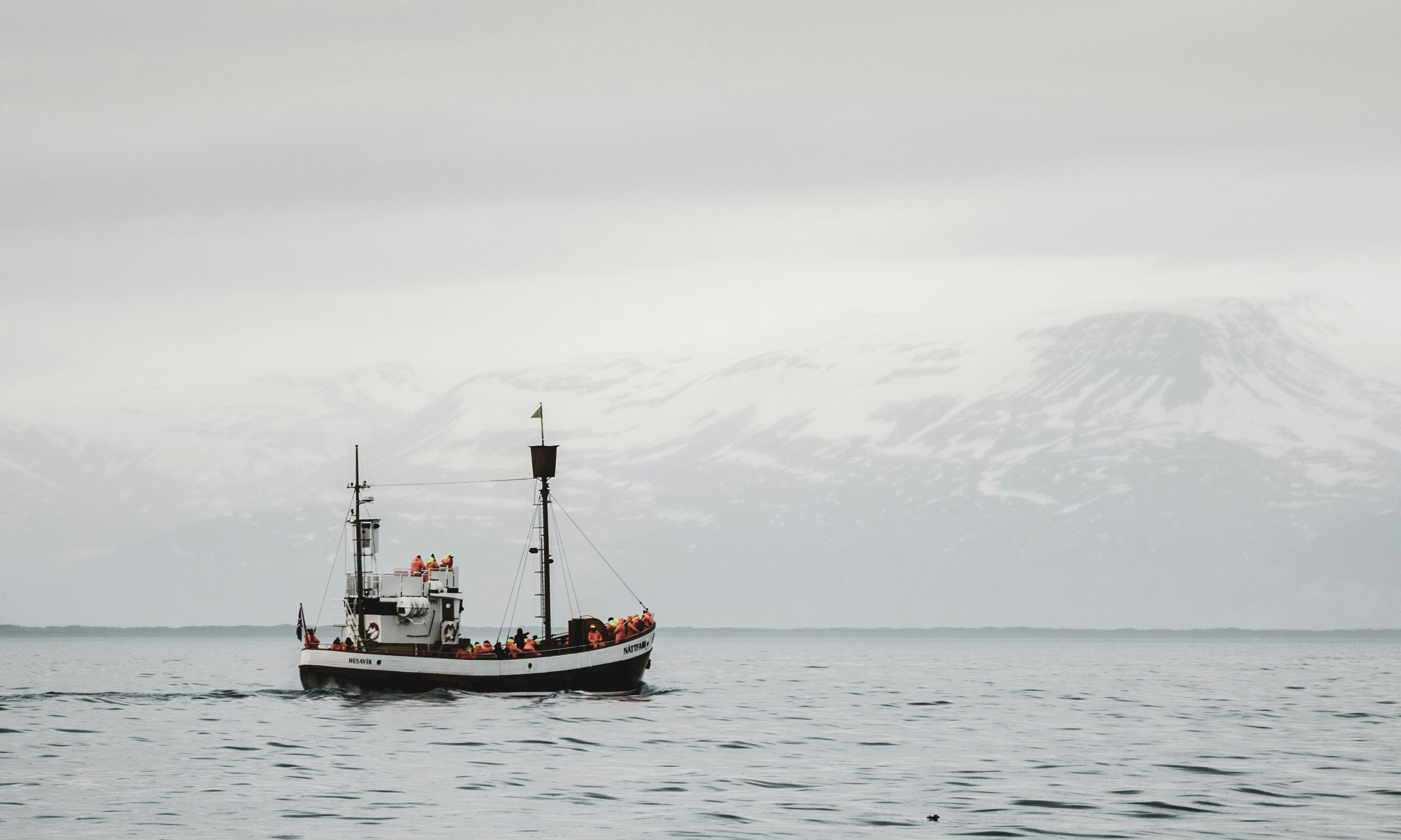 Husavik IJsland