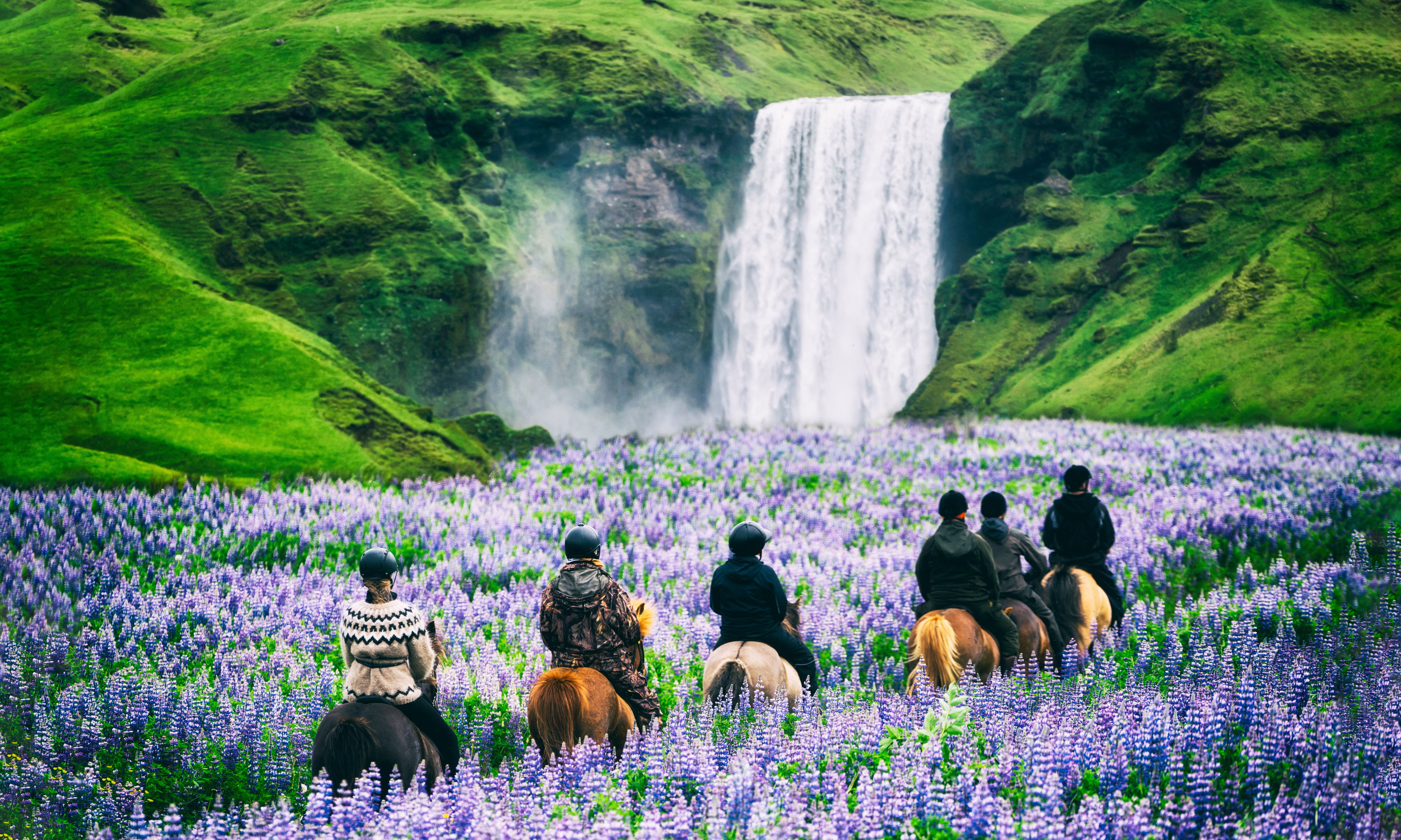Skogafoss waterval, IJsland