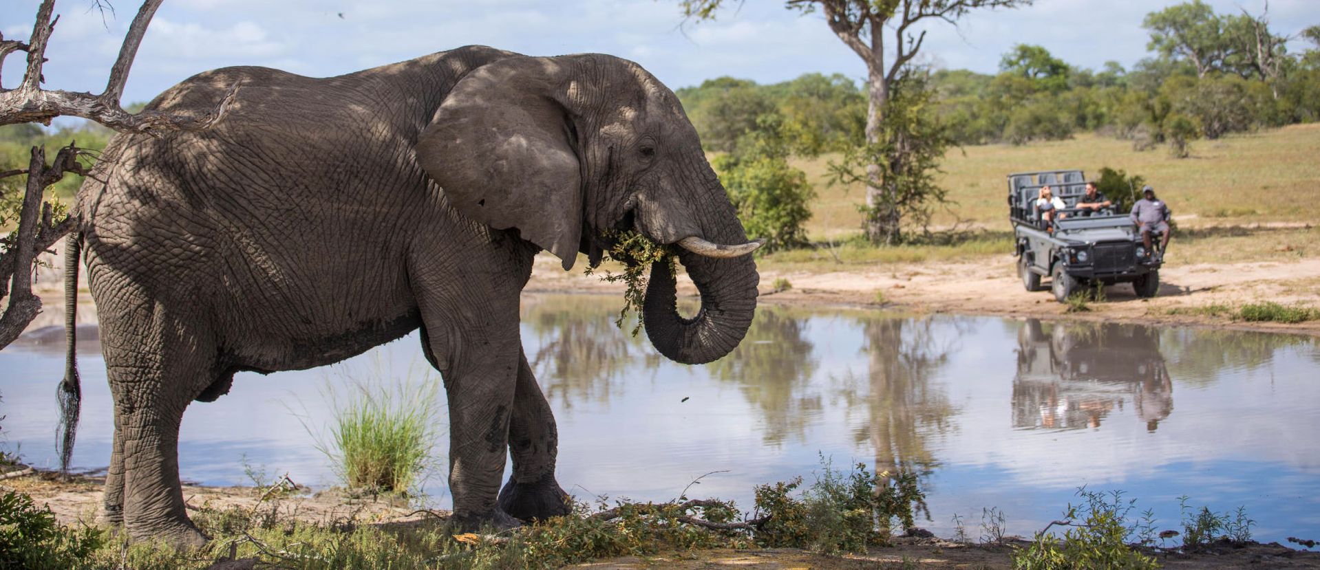 Zuid-Afrika-Kurger-Park-Sabi-Sands-Silvan-Safari-Lodge-Game-Drive