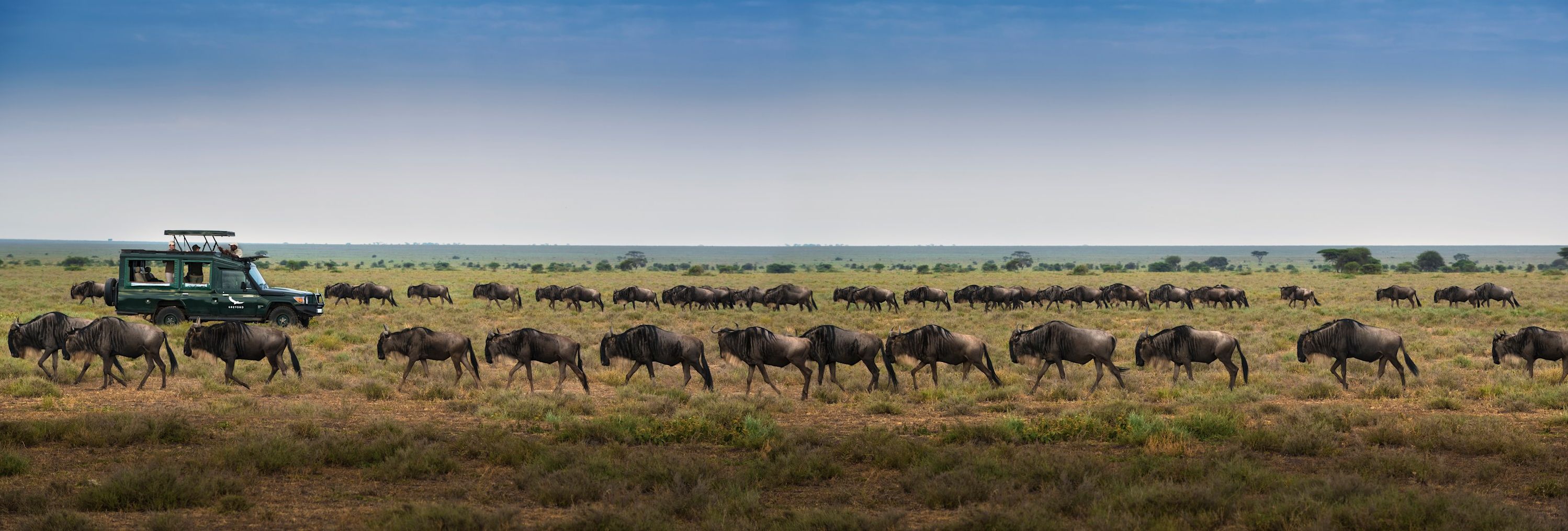 Tanzania-Serengeti-andBeyond-Serengeti-Under-Canvas-Grote-Trek