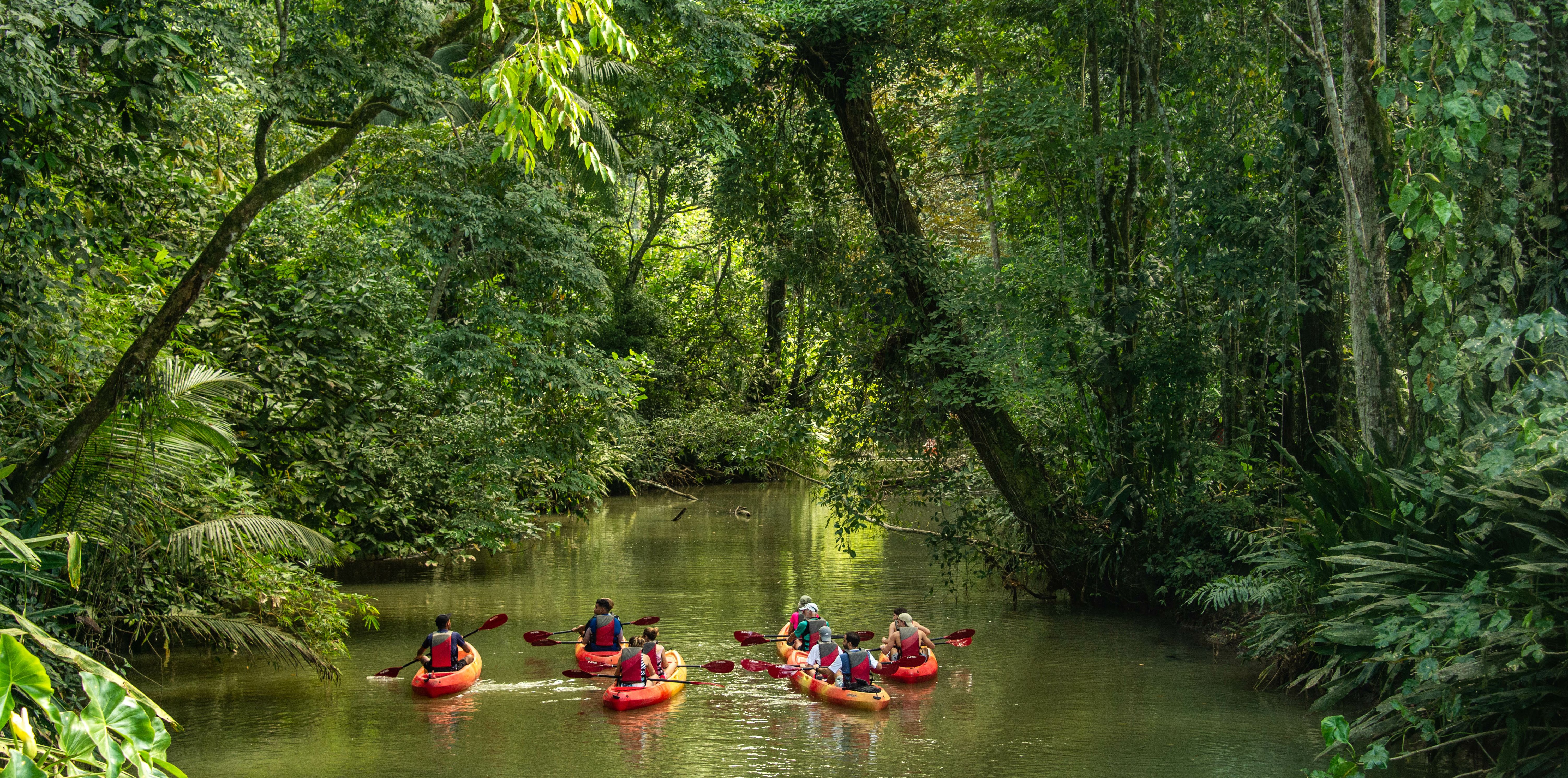 Costa-Rica-Puerto-Viejo-Kayaking-in-the-jungle