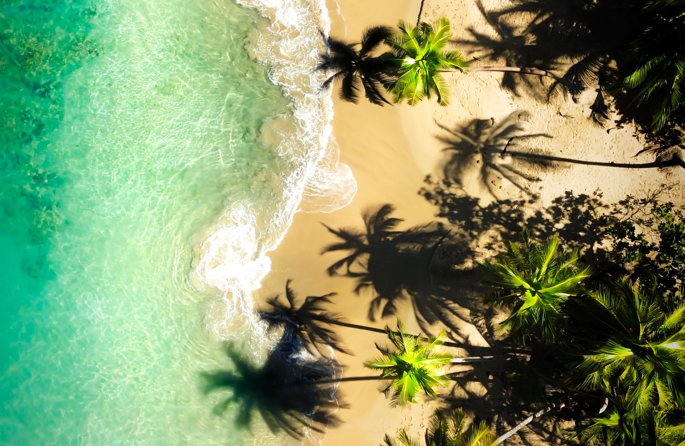Costa-Rica-Puerto-Viejo-de-Talamanca-Strand-met-Palmbomen-drone