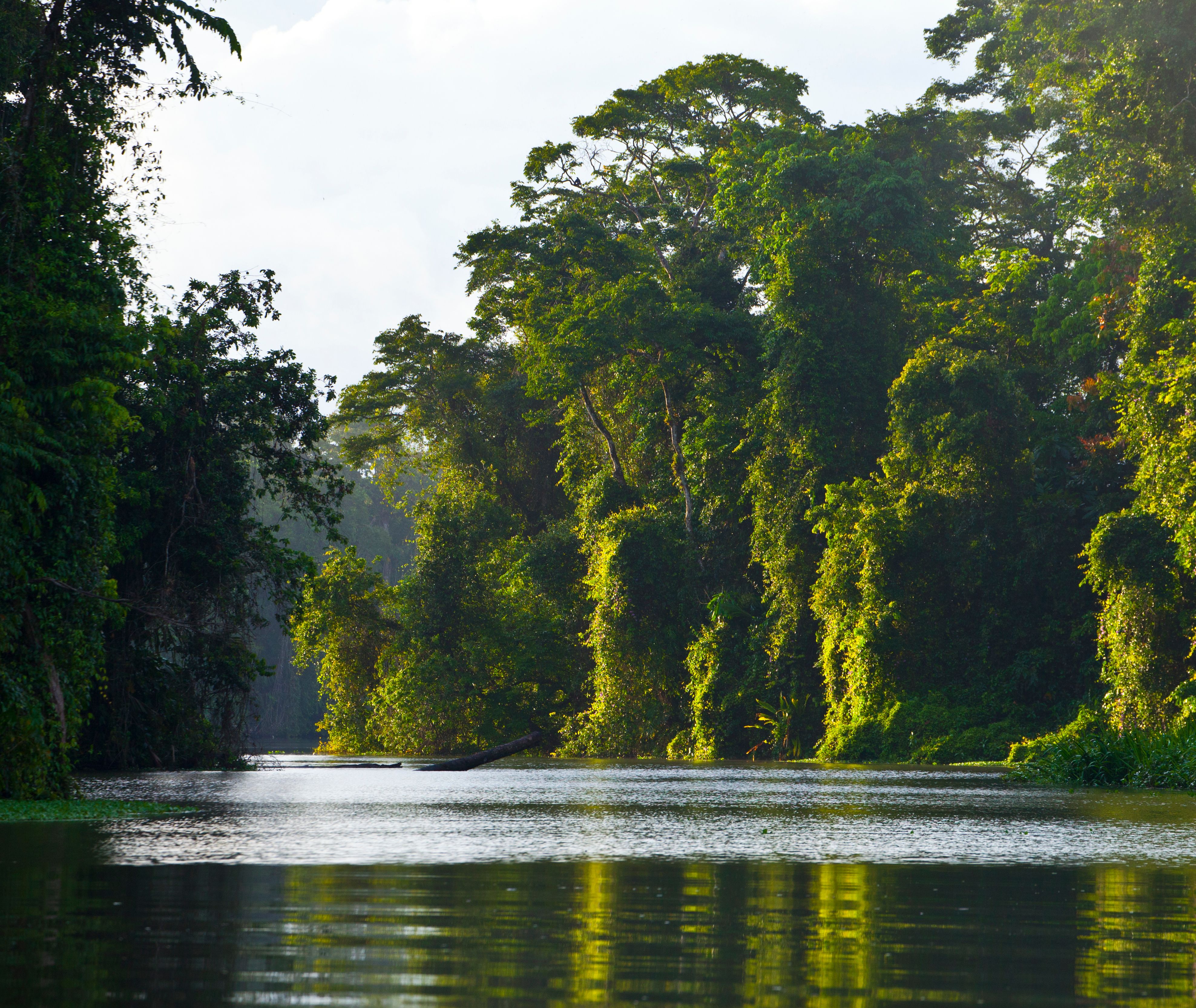 Costa-Rica-Tortuguero-National-Park