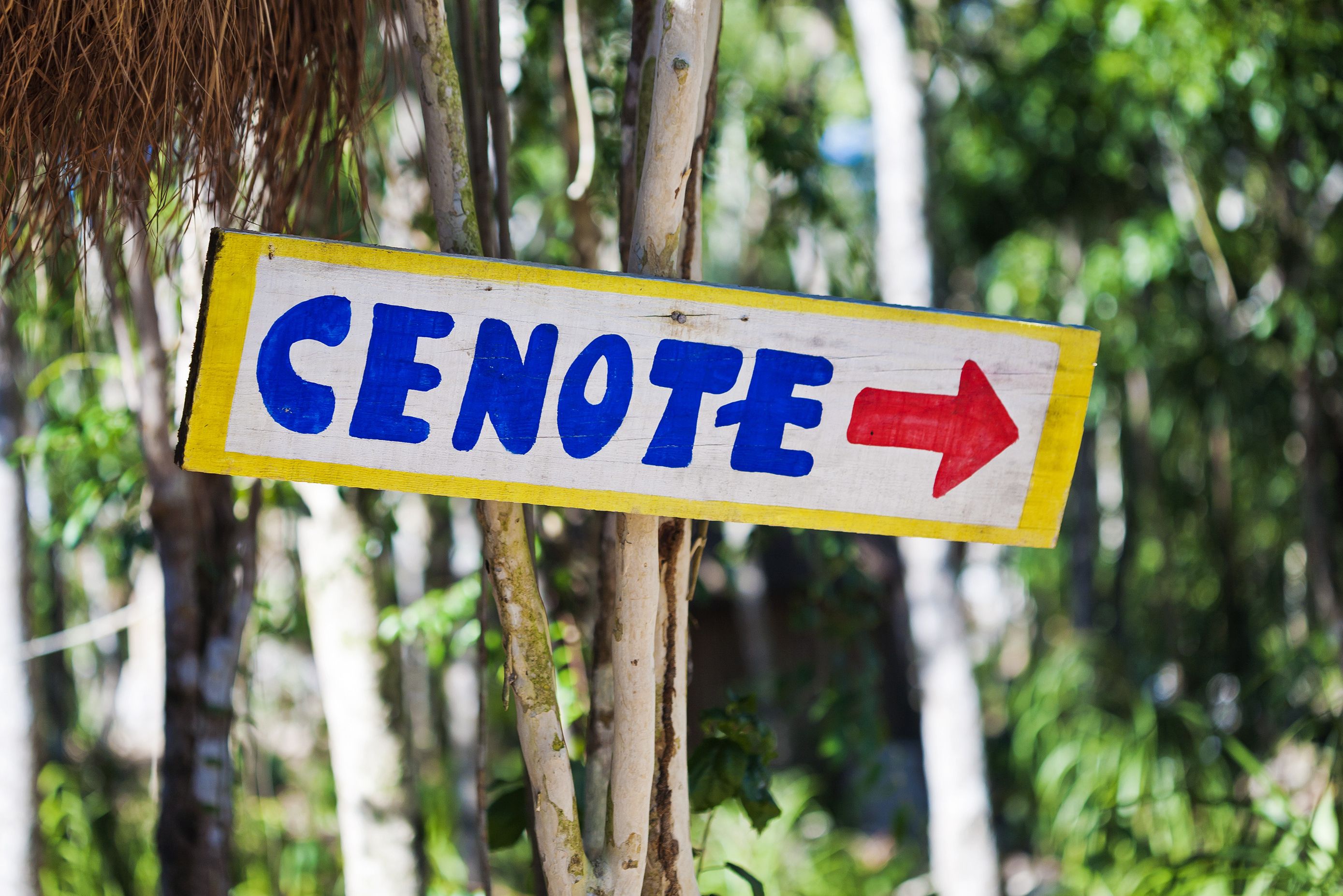 Bezoek een cenote in Yucatan
