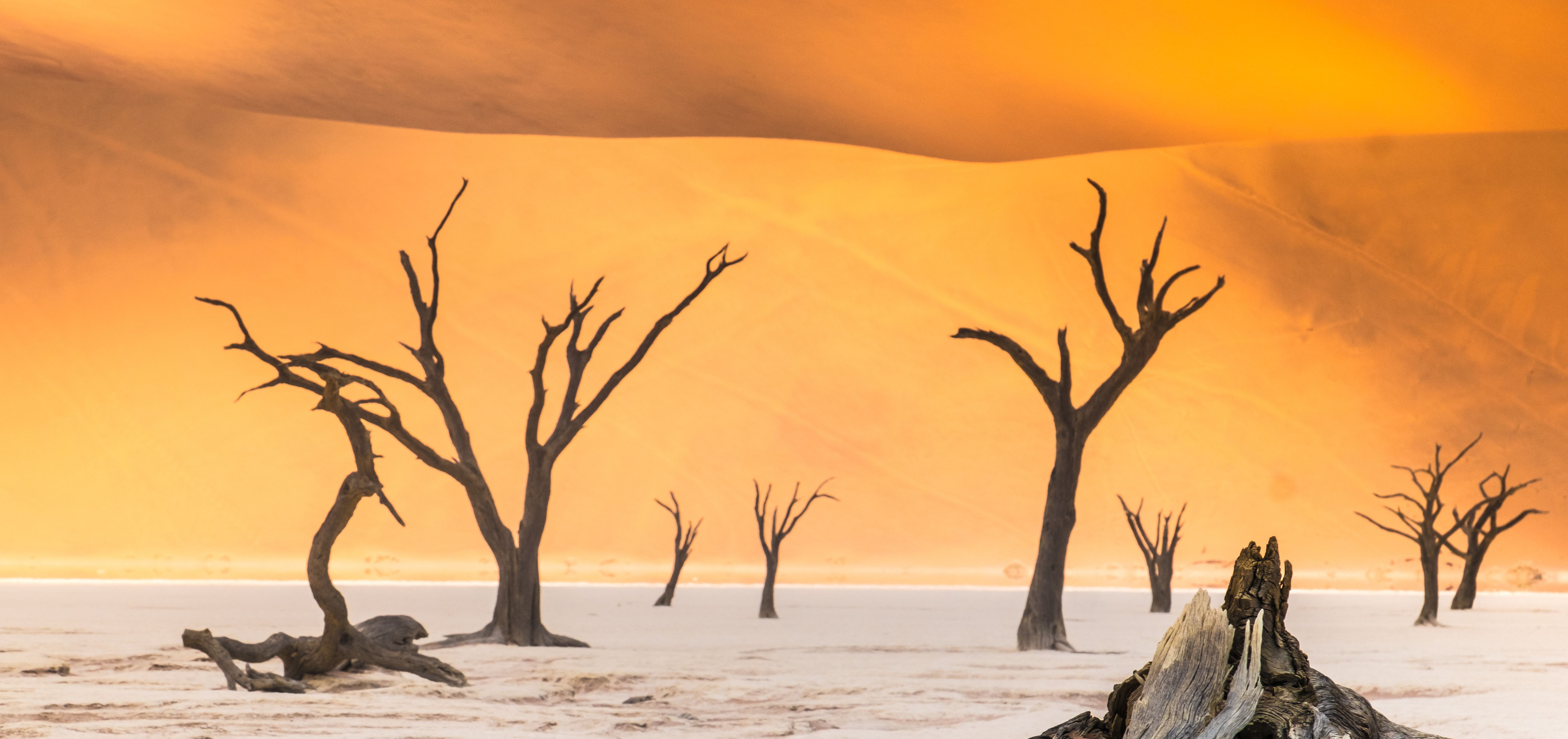 Namibie-sossusvlei-dode-bomen-woestijn