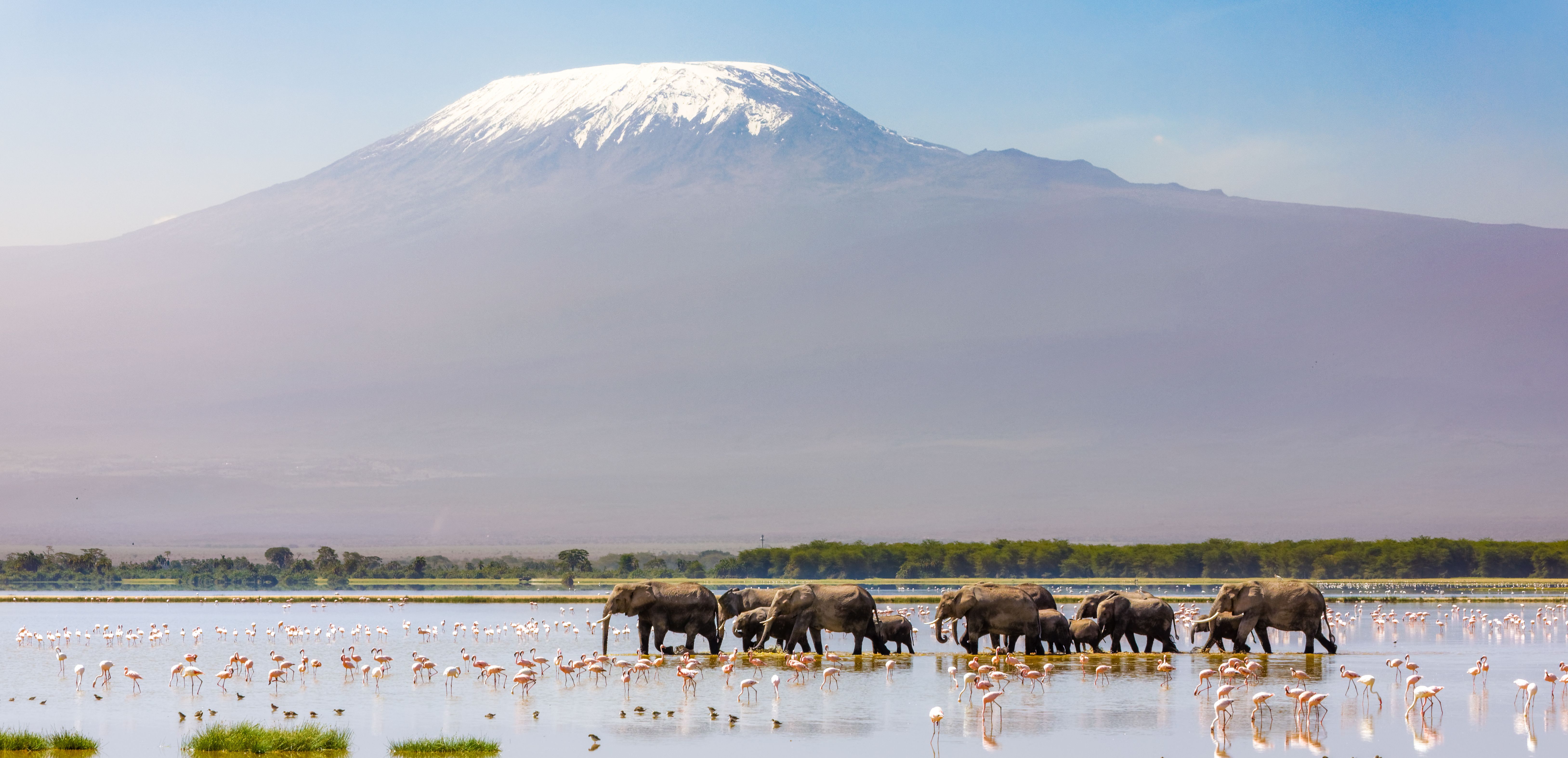 Kenia-Amboseli-National-Park-olifanten-in-meer
