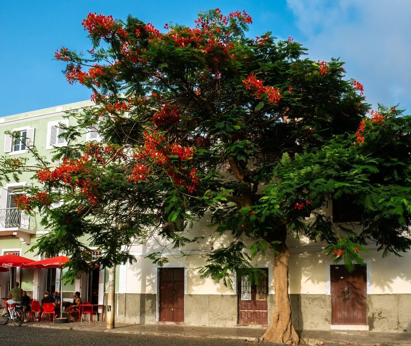 Kaapverdie-Sao-Vicente-Mindelo-Casa-da-Djedja-Straatbeeld-3