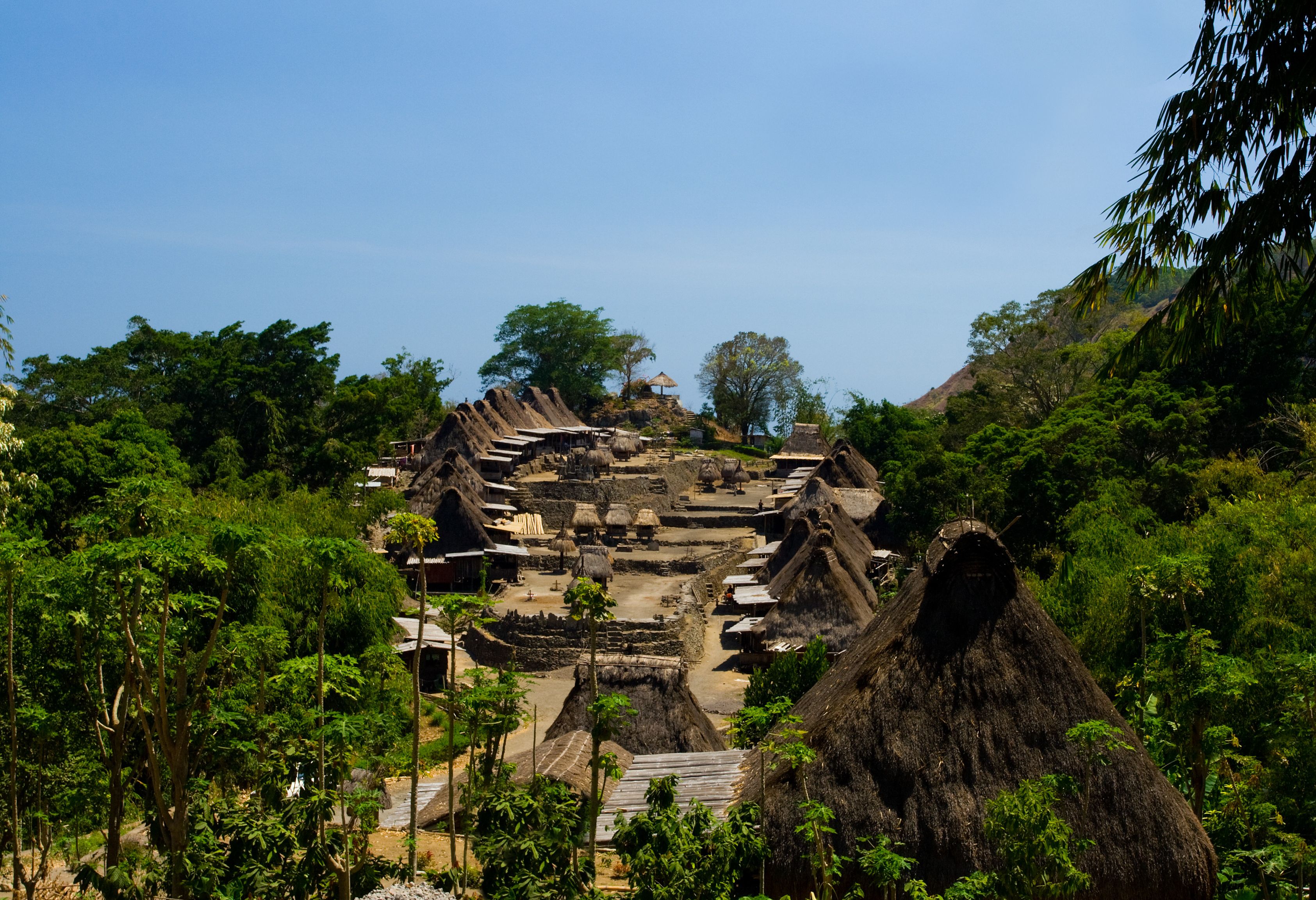 Megalitisch dorp Bena bij Bajawa op Flores in Indonesie