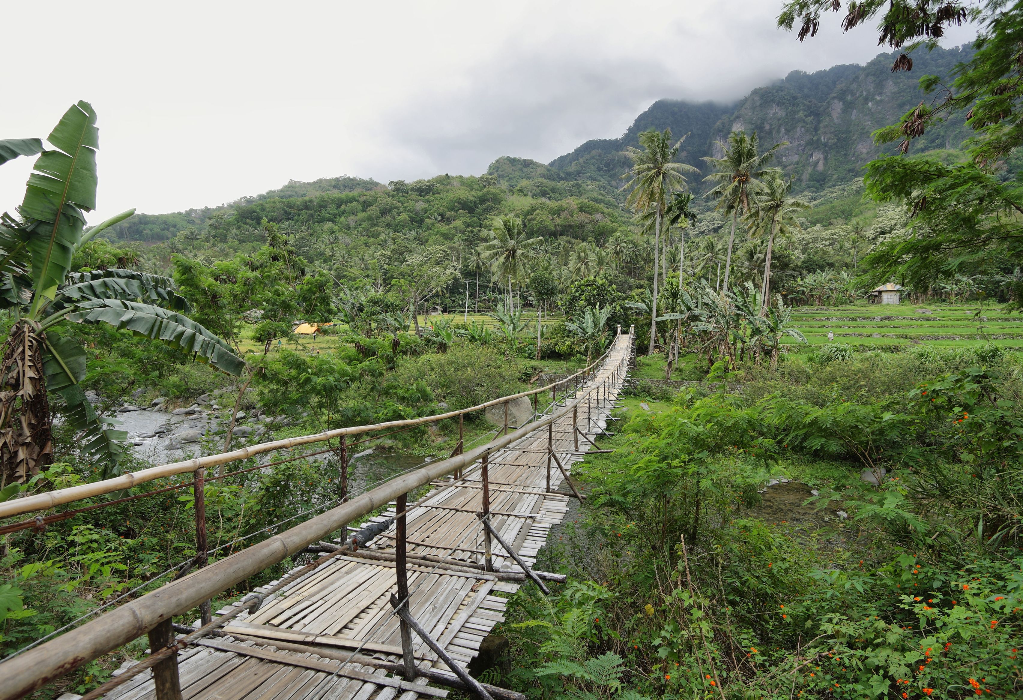 Landschap onderweg op Flores in Indonesie