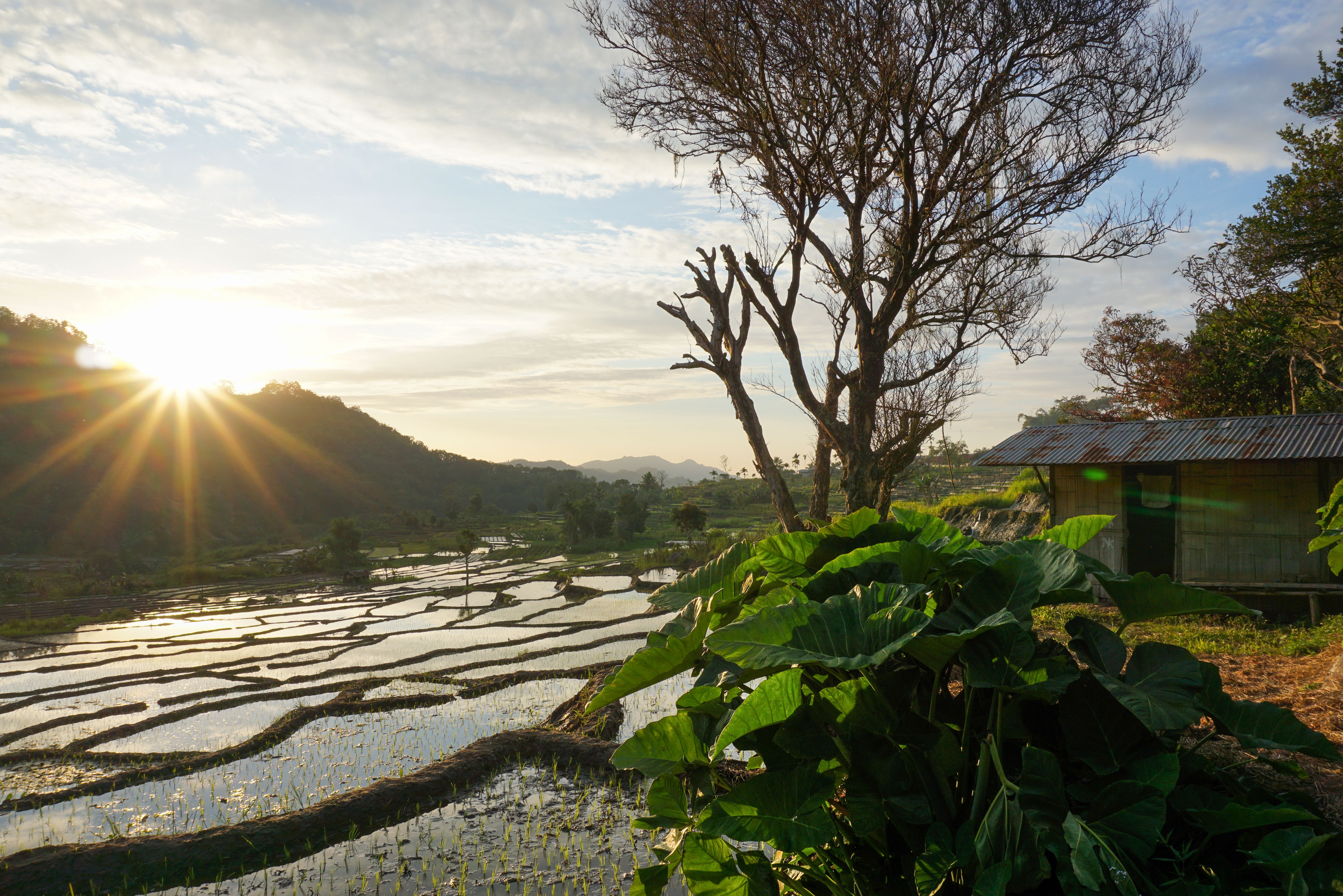 Prachtige omgeving van Moni Village op Flores in Indonesie