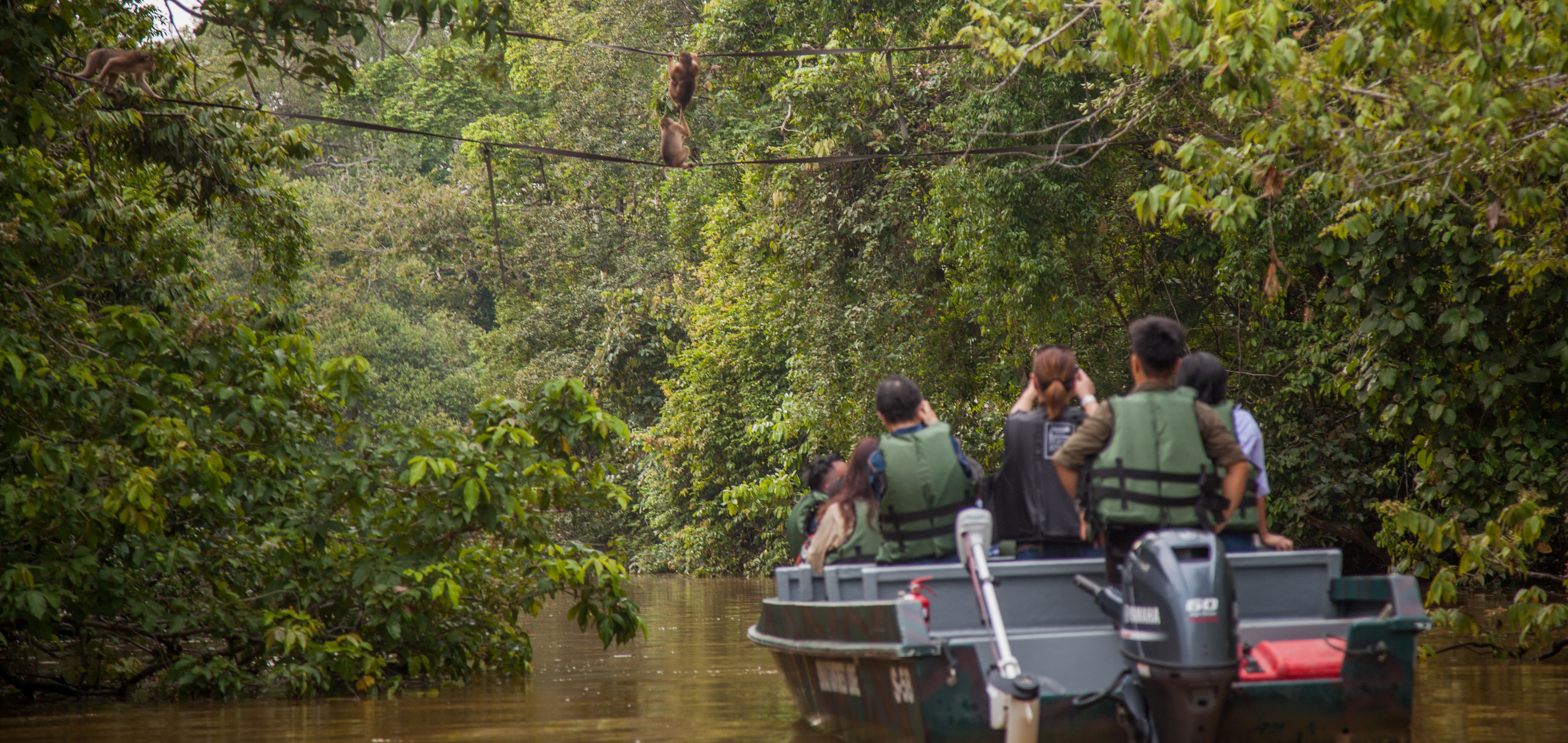Maleisie-Sabah-Kinabatangan-Sukau-Rainforest-Lodge-oversteekplaats-makaken-rivier