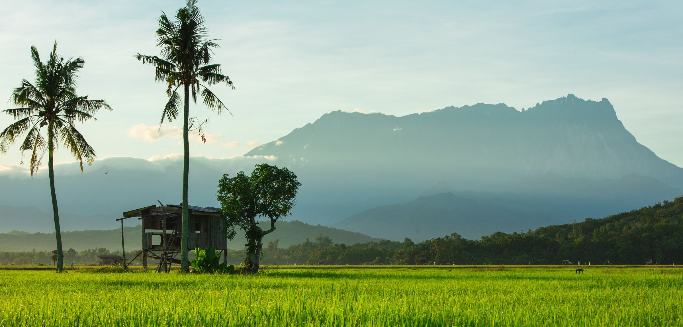 Maleisie-Sabah-Borneo-Mount-Kinabalu