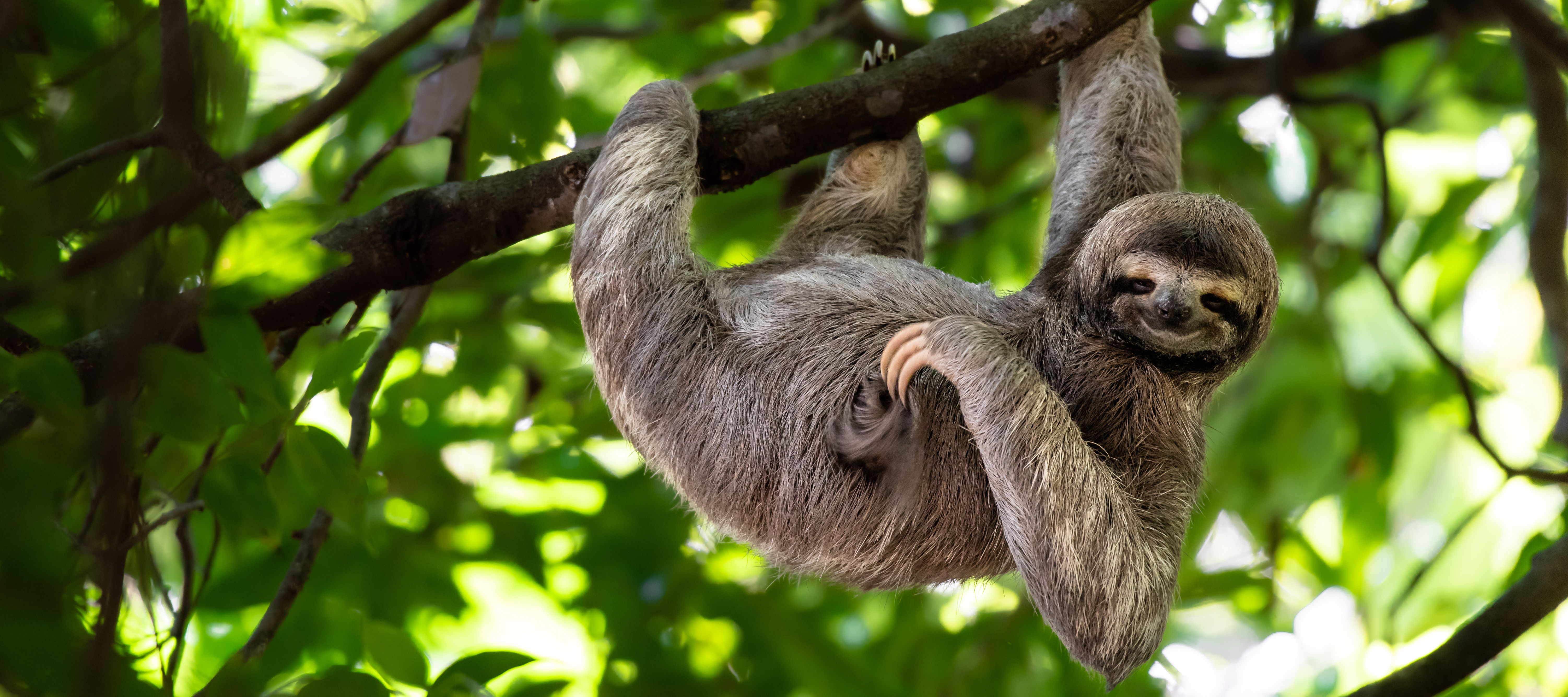 Costa Rica