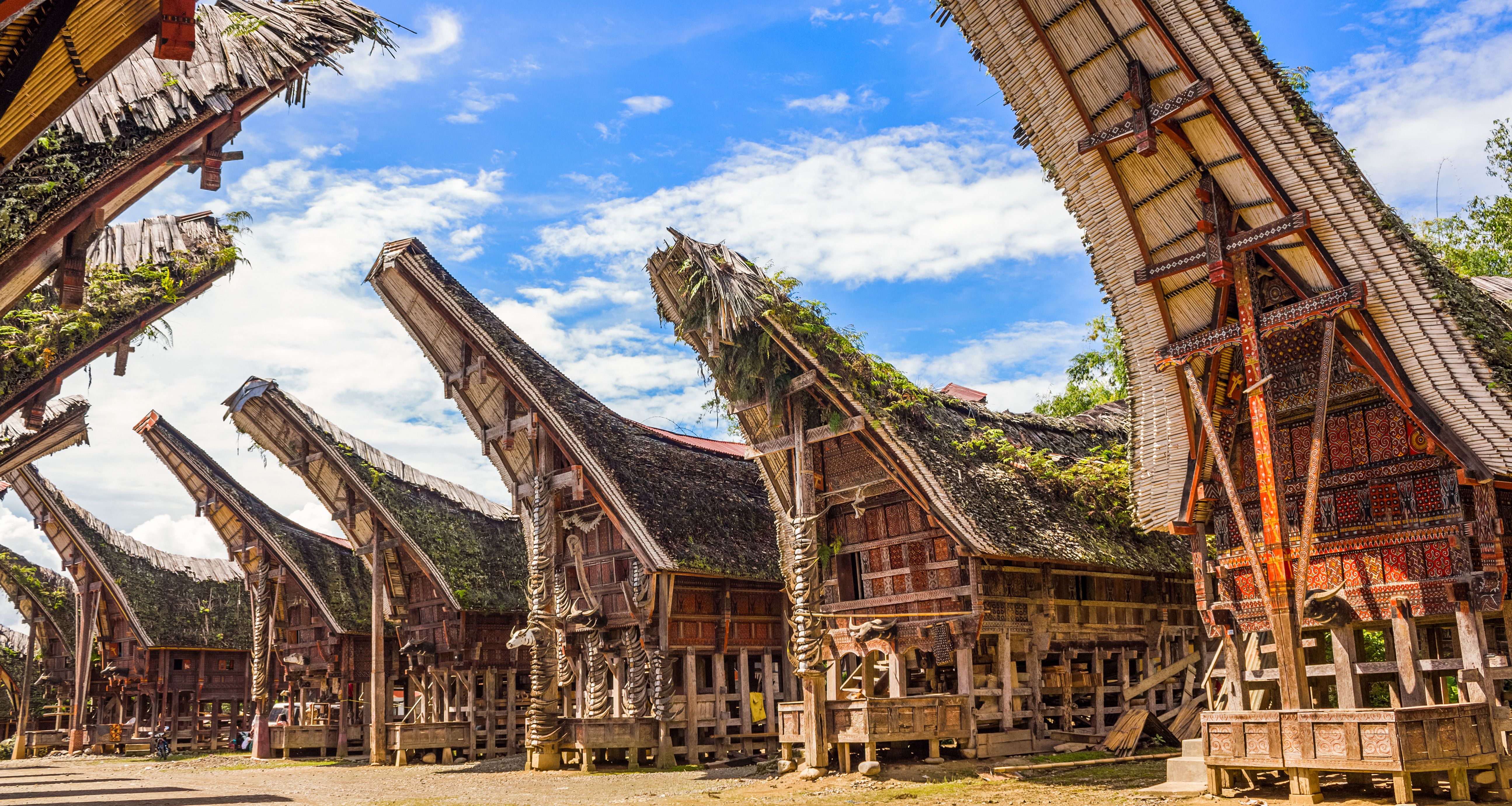 indonesie-sulawesi-traditionele-toraja-huizen-tongkonans