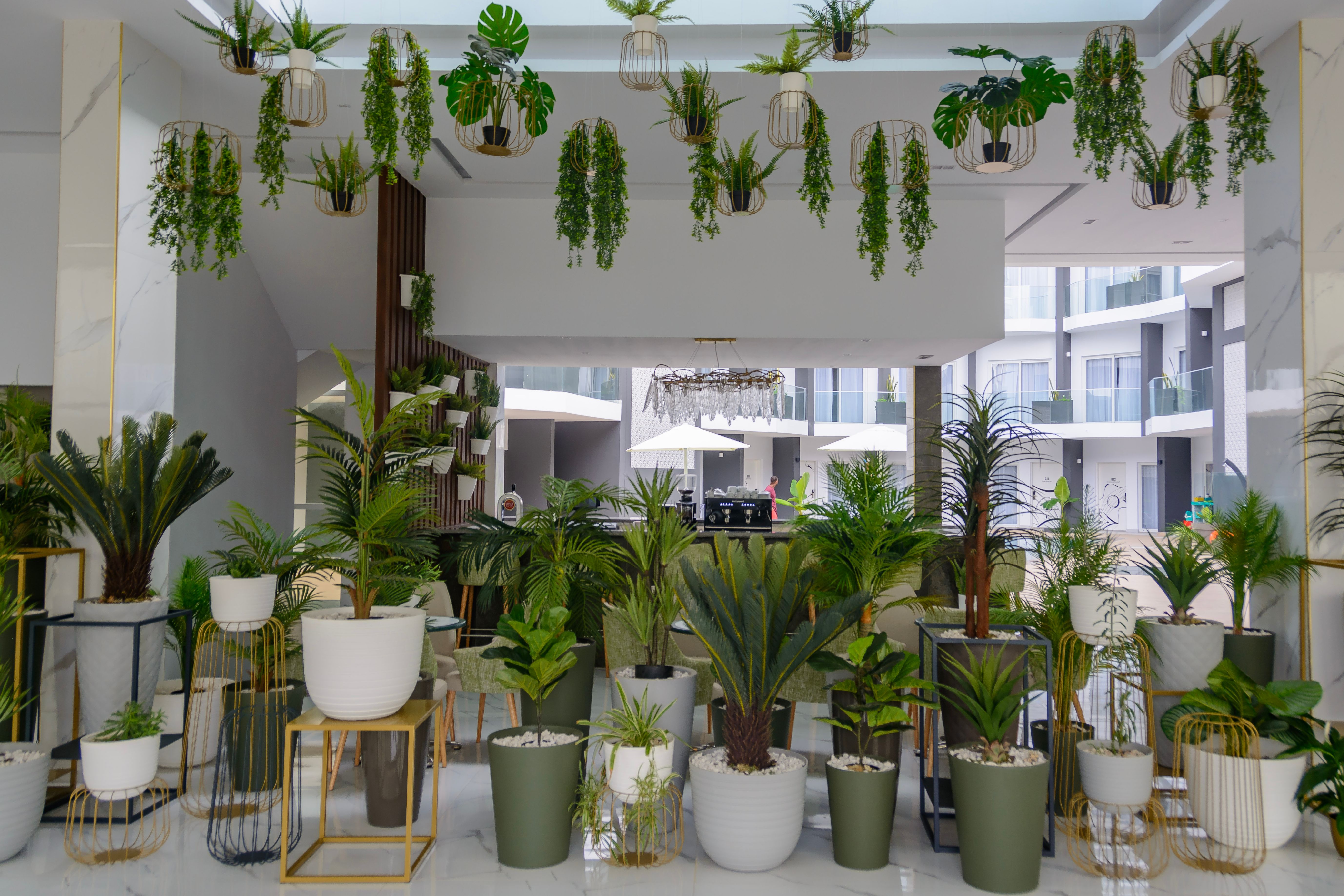 Sao-Vicente-Ouril-Mindelo-hotel-lobby-planten