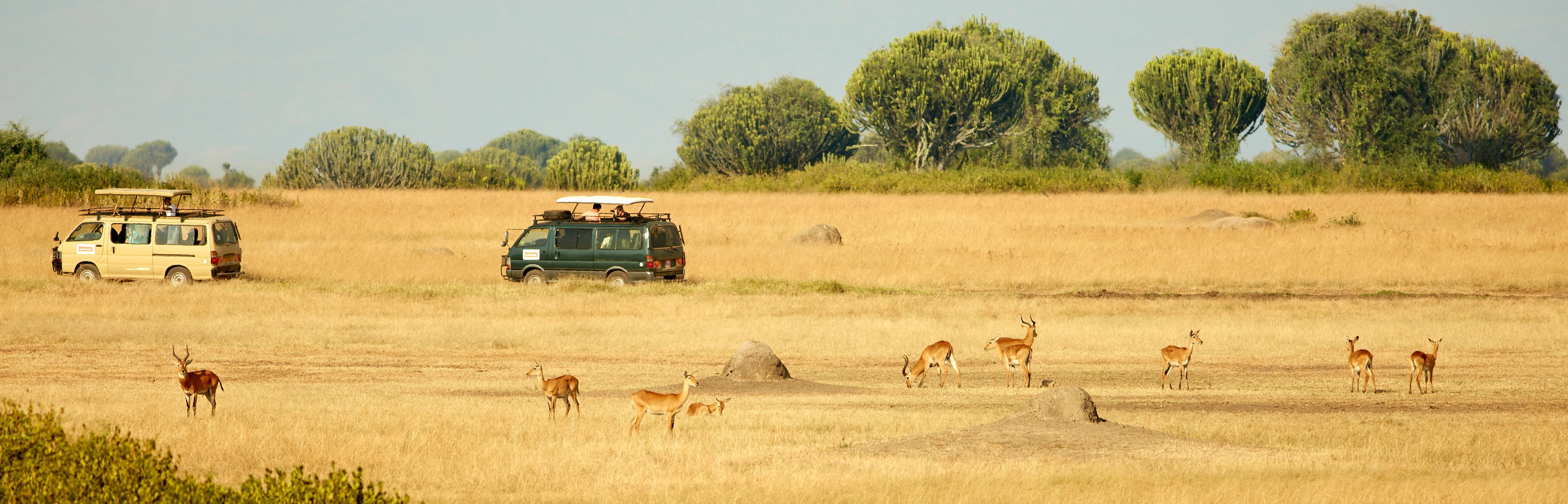 Uganda-Queen-Elizabeth-National-Park-Safari